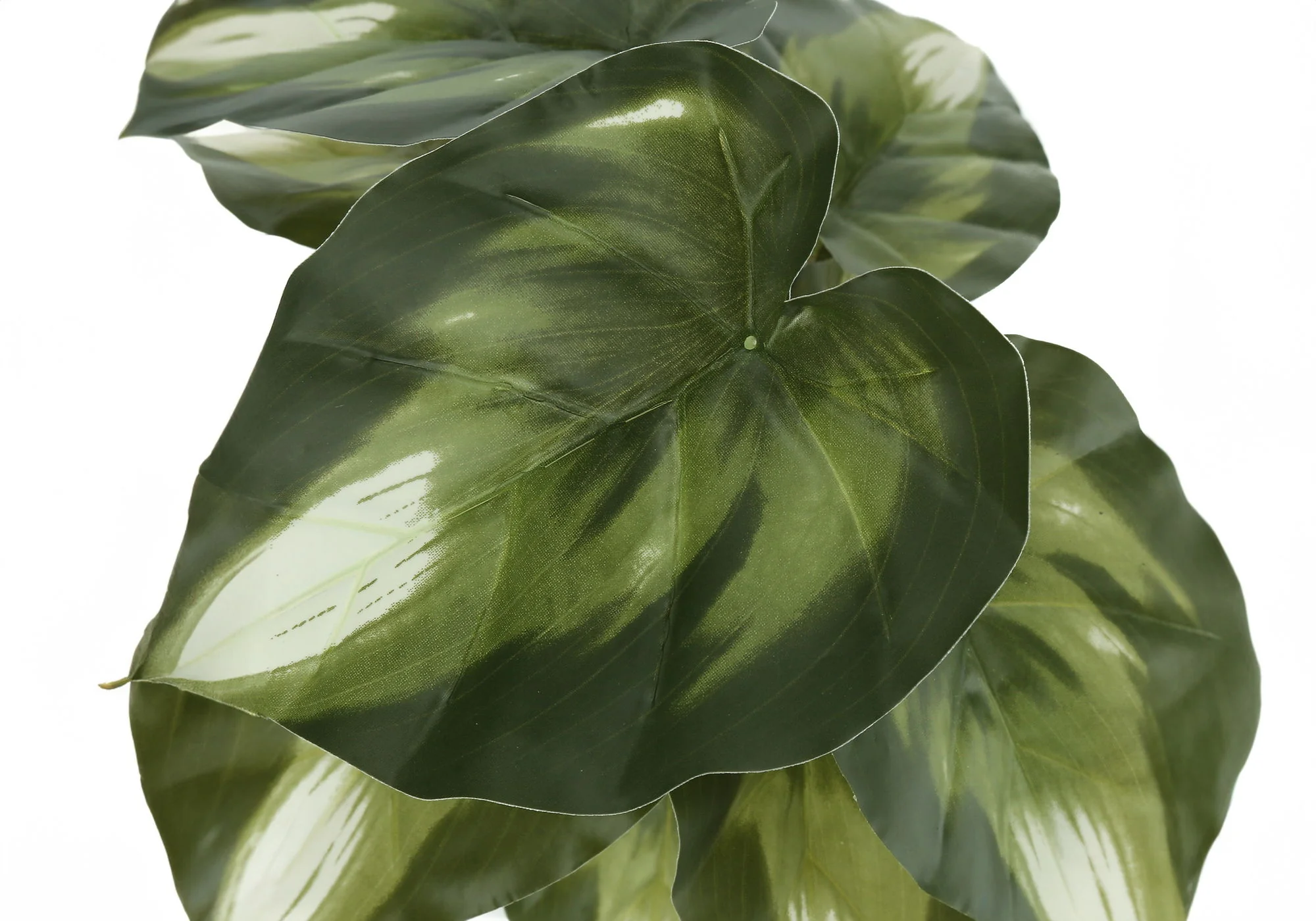 13" Tall, Artificial Plant, Monstera Calthea, Indoor, Faux, Fake, Table, Greenery, Potted, Decorative (Set of 2) - Green / Black - Image 6