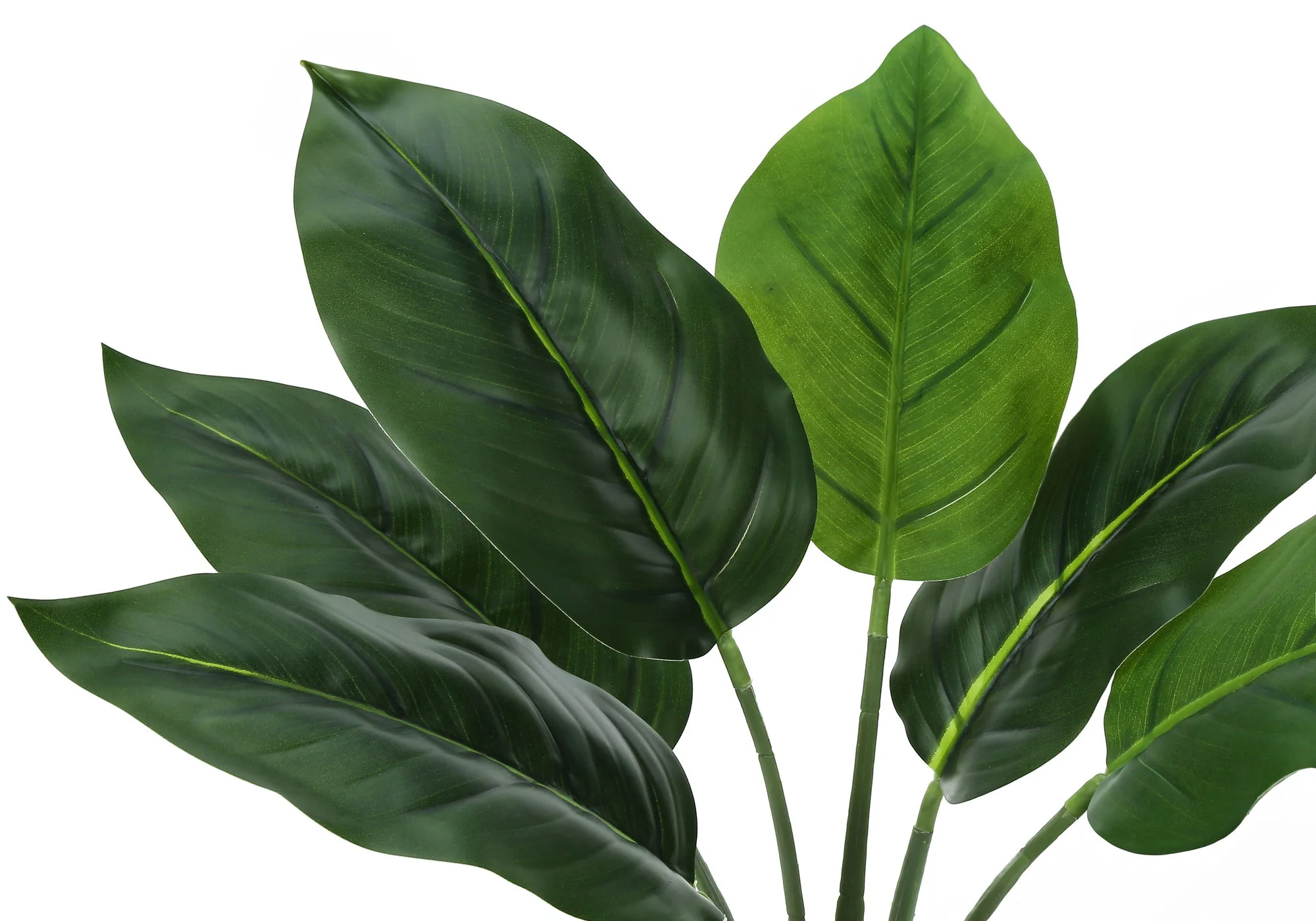 17" Tall, Artificial Plant, Aureum, Indoor, Faux, Fake, Table, Greenery, Potted, Real Touch, Decorative - Green / White - Image 6