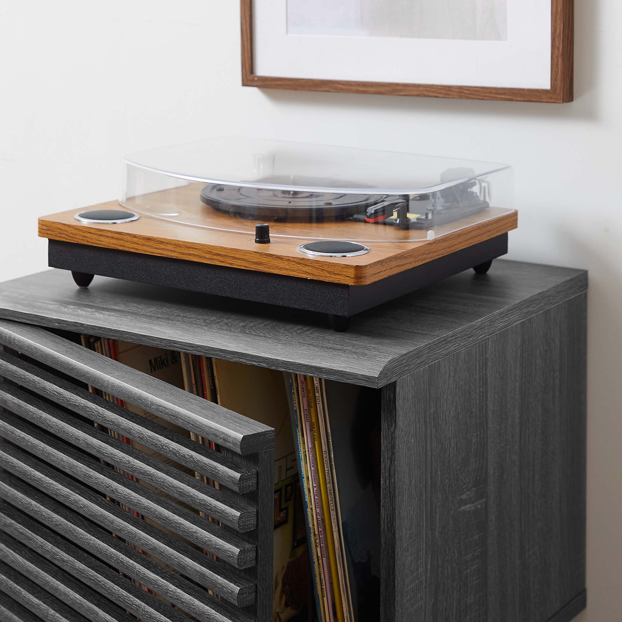 19 Inch Vinyl Record Display Stand with Hinged Slatted Door and Metal Dividers - Image 3