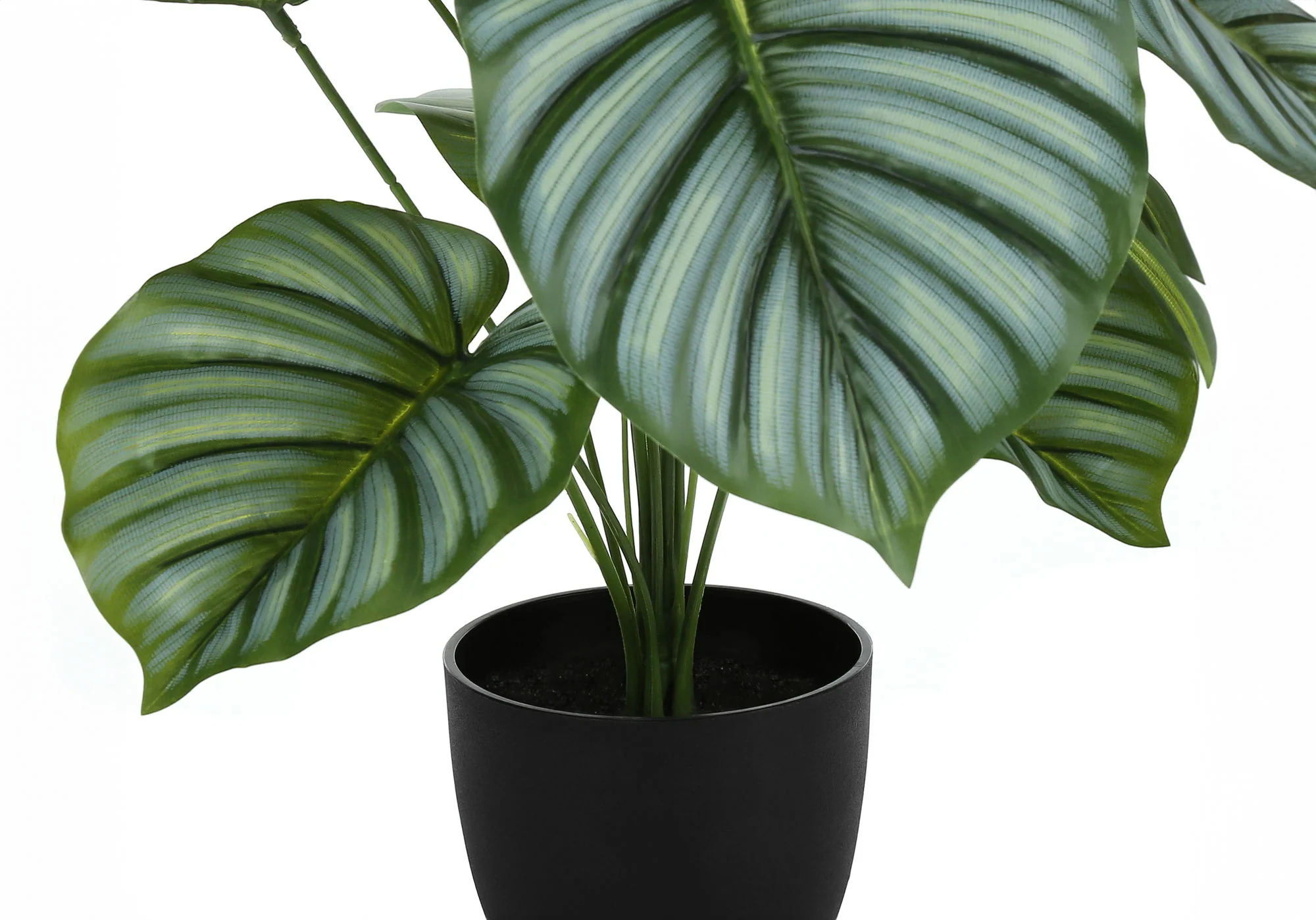 24" Tall, Artificial Plant, Calathea, Indoor, Faux, Fake, Table, Greenery, Potted, Real Touch, Decorative - Green / Black - Image 2