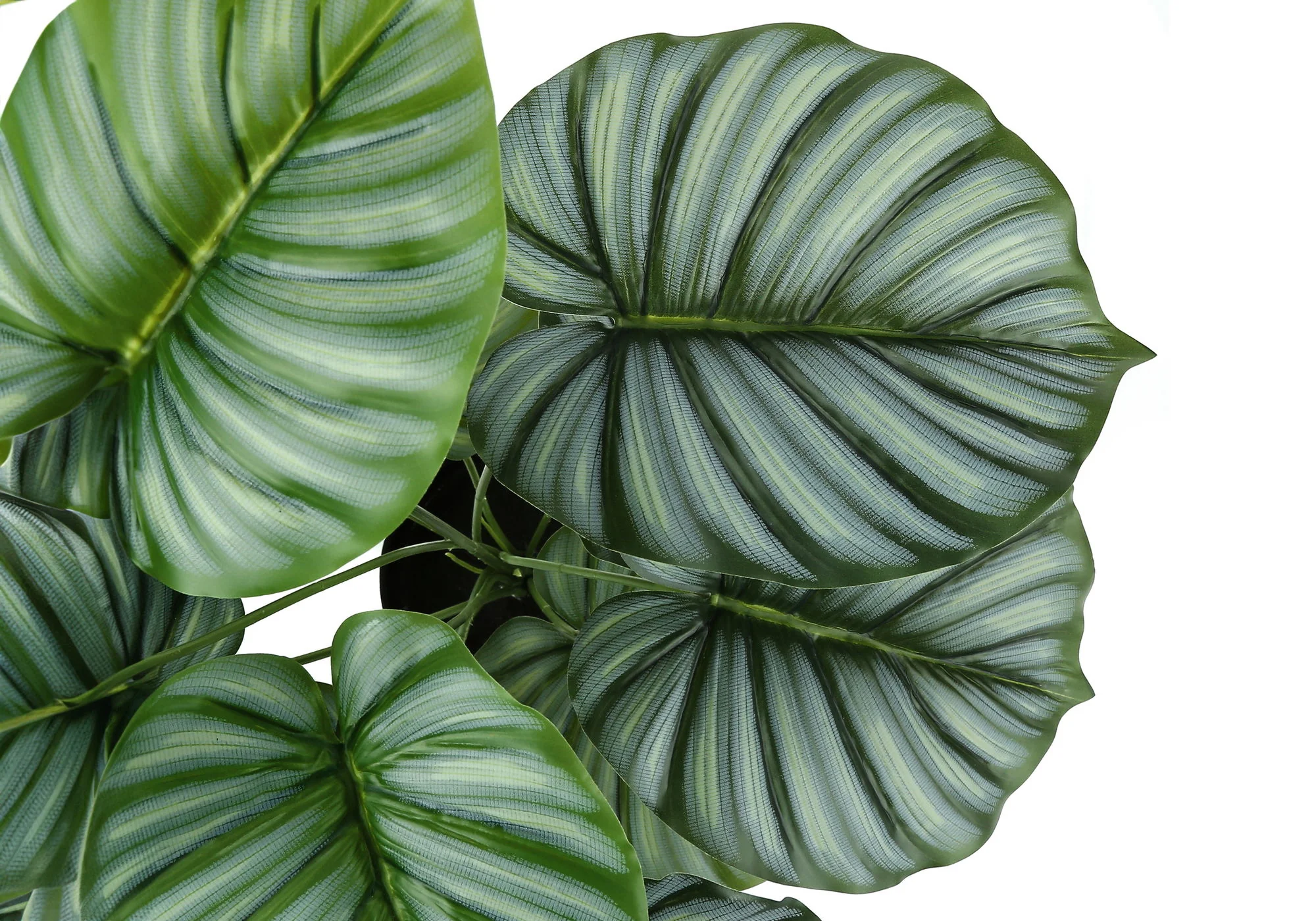 24" Tall, Artificial Plant, Calathea, Indoor, Faux, Fake, Table, Greenery, Potted, Real Touch, Decorative - Green / Black - Image 5