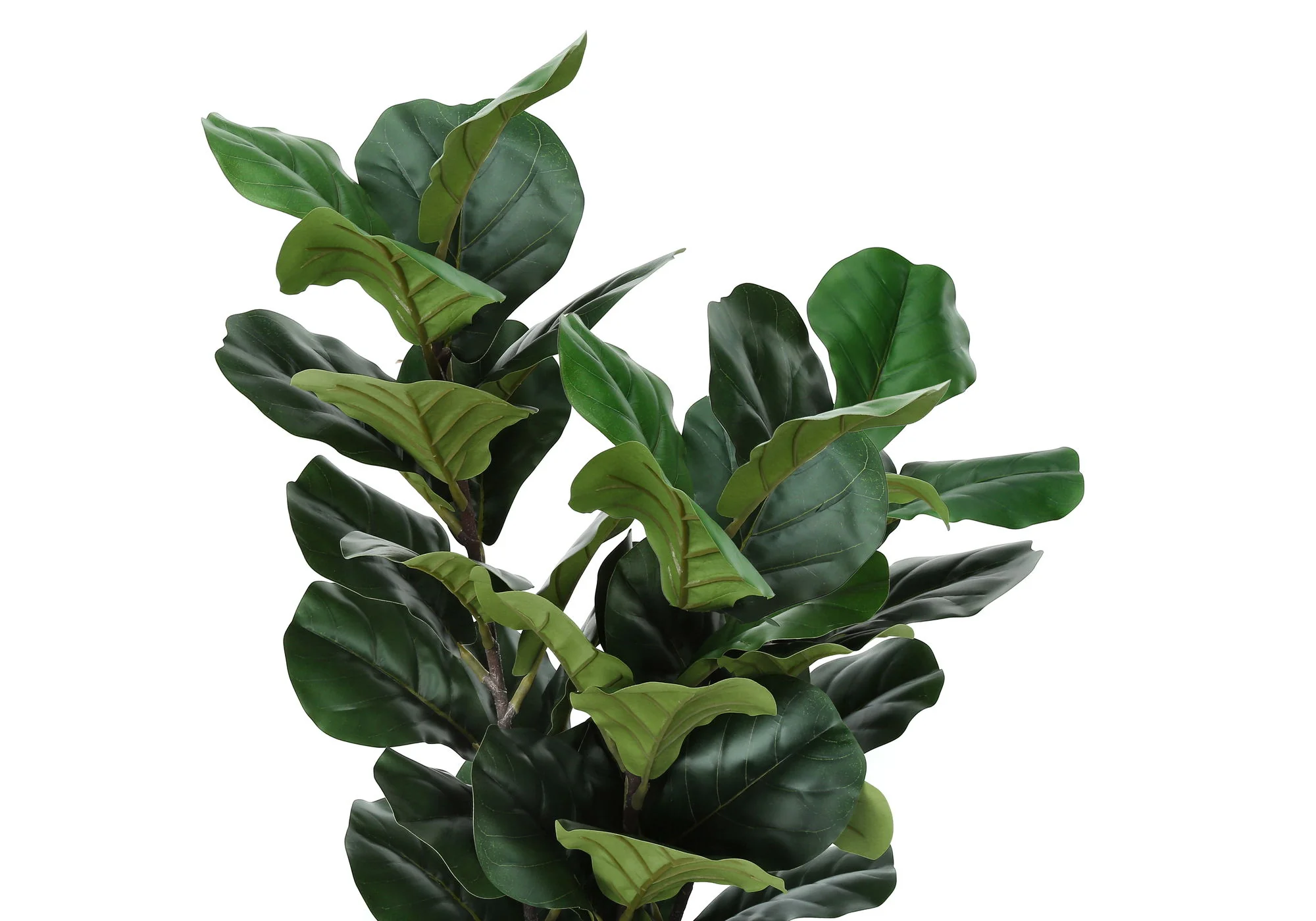 32" Tall, Artificial Plant, Fiddle Tree, Indoor, Faux, Fake, Floor, Greenery, Potted, Real Touch, Decorative - Green / Black - Image 2