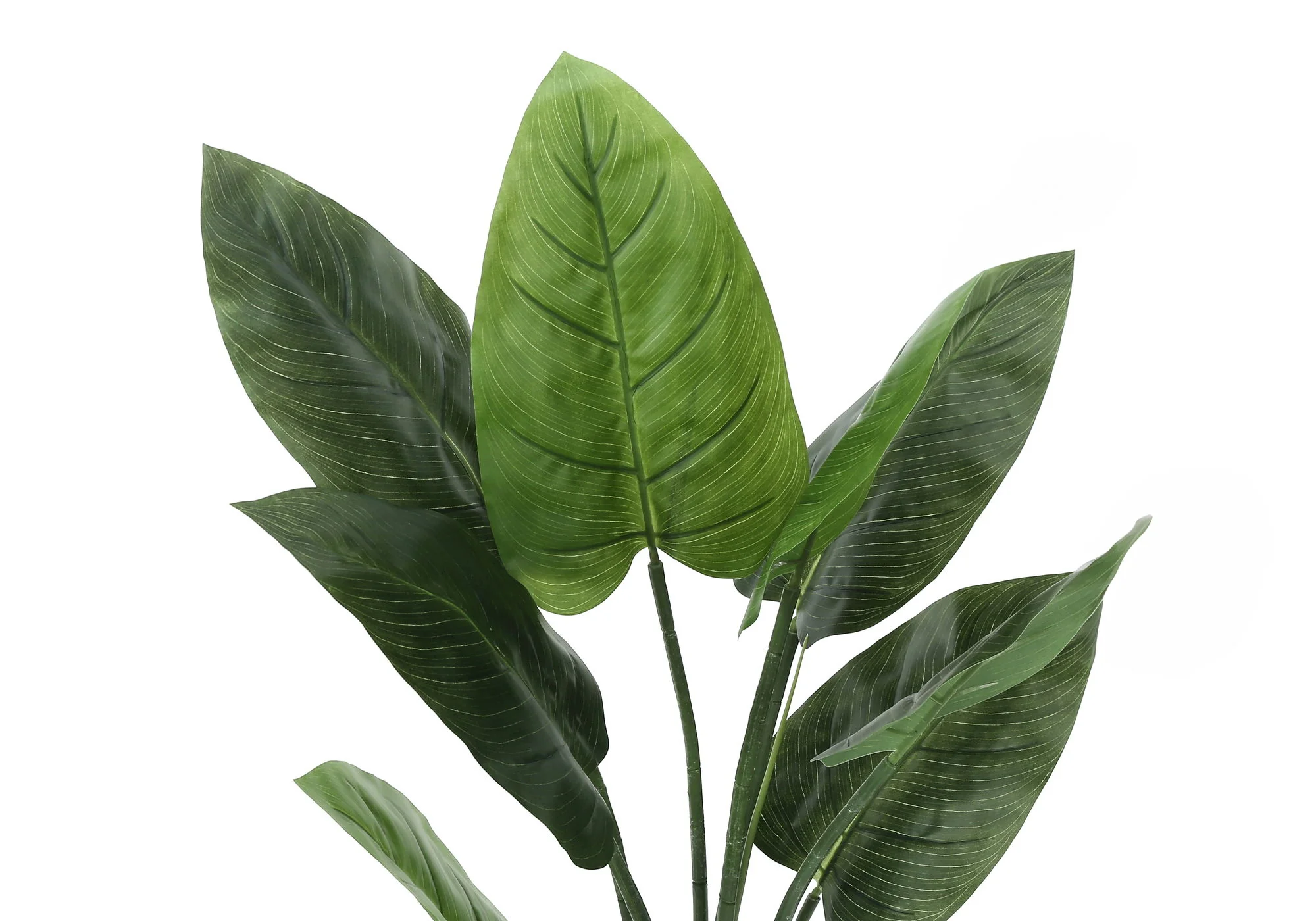 37" Tall, Artificial Plant, Aureum Tree, Indoor, Faux, Fake, Floor, Greenery, Potted, Real Touch, Decorative - Green / Black - Image 2