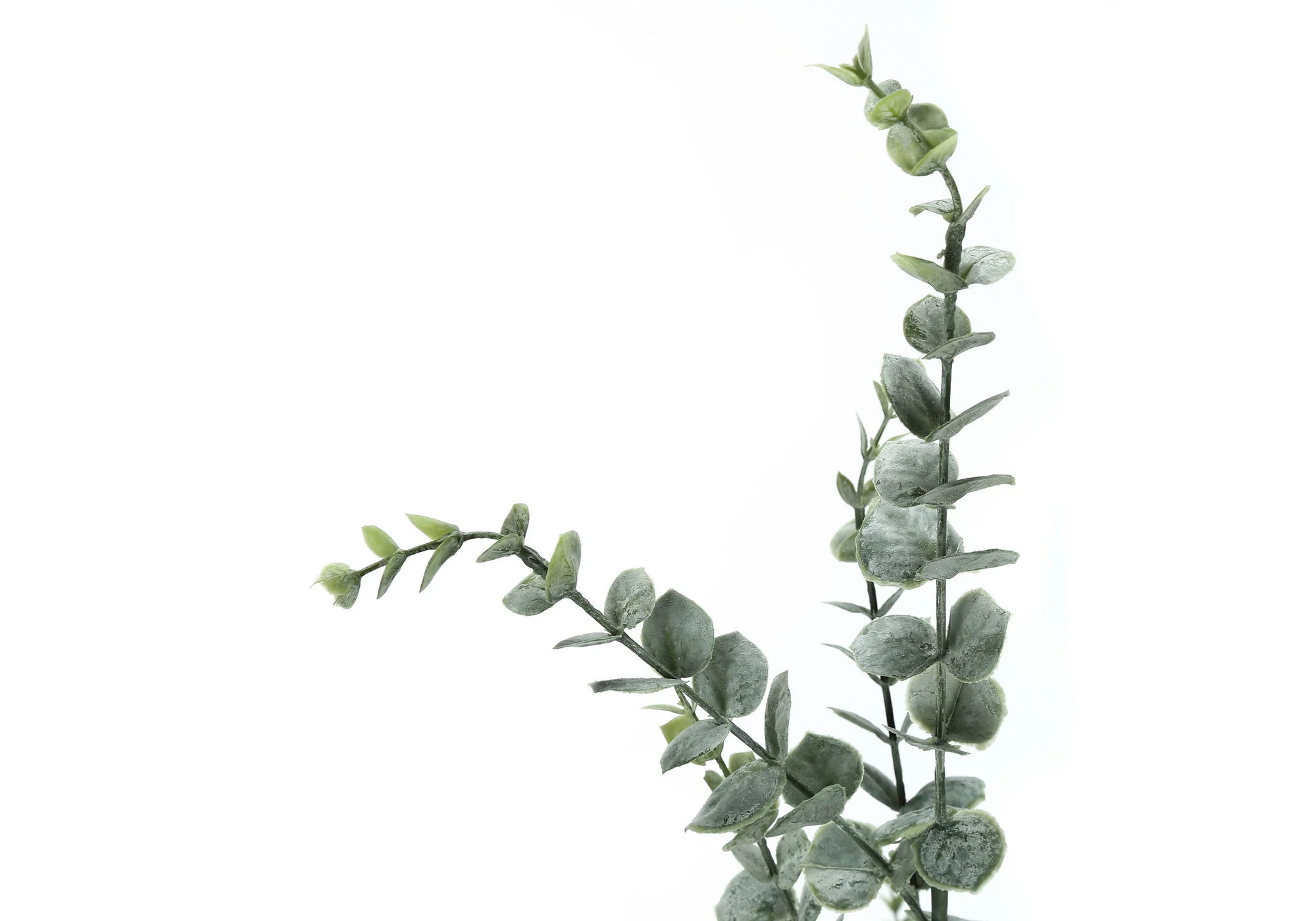 44" Tall, Artificial Plant, Eucalyptus Tree, Indoor, Faux, Fake, Floor, Greenery, Potted, Real Touch, Decorative - Green / Black - Image 5