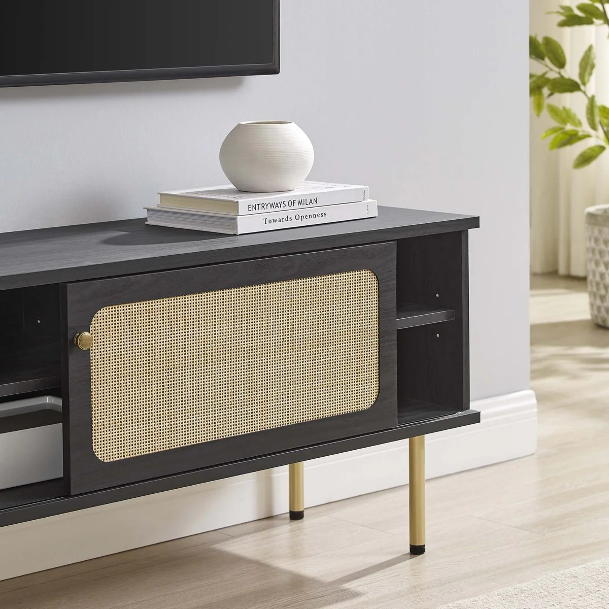 47 Inch Modern Rattan Sliding Door TV Stand - Image 3