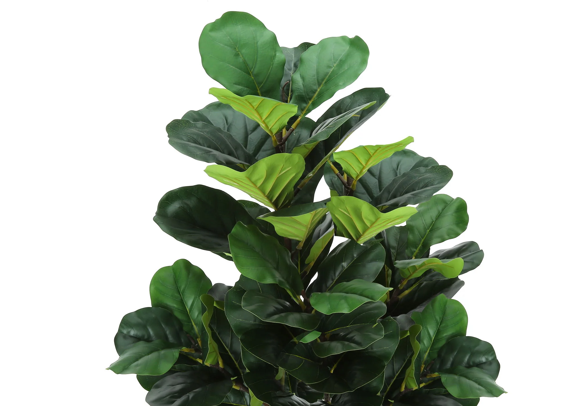 47" Tall, Artificial Plant, Fiddle Tree, Indoor, Fake, Floor, Greenery, Potted, Real Touch, Decorative - Green / Black - Image 5