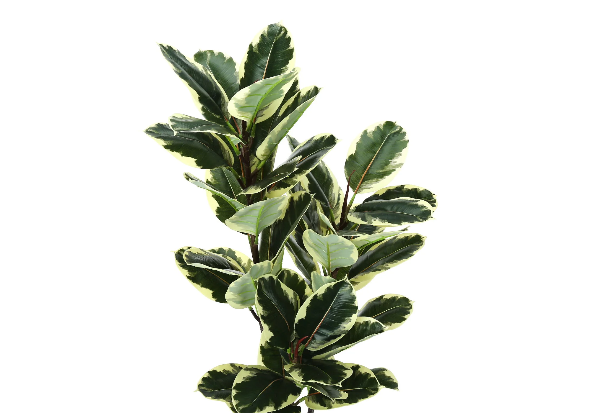 47" Tall, Artificial Plant, Oak Tree, Indoor, Faux, Fake, Floor, Greenery, Potted, Real Touch, Decorative - Green / Black - Image 4