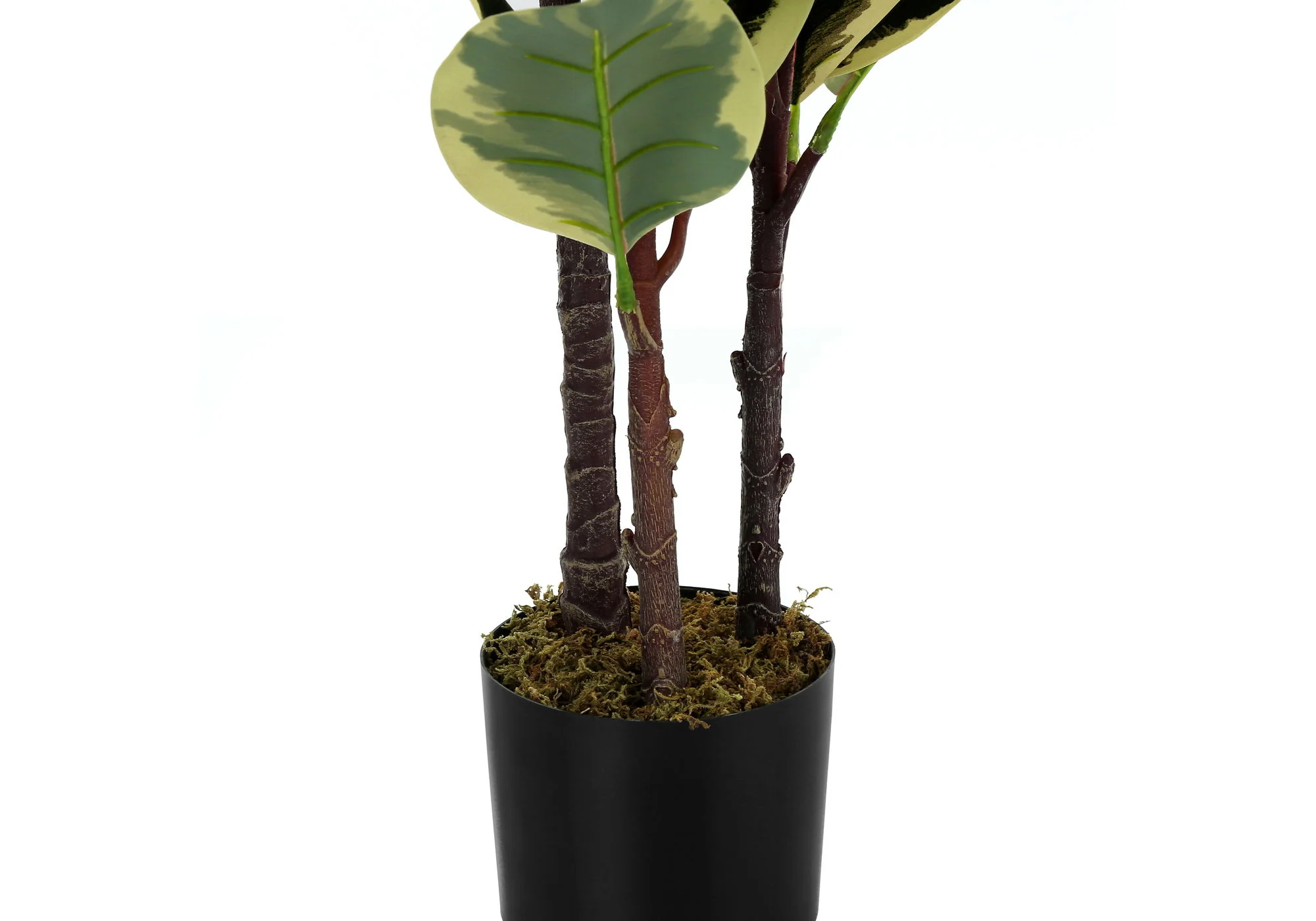 47" Tall, Artificial Plant, Oak Tree, Indoor, Faux, Fake, Floor, Greenery, Potted, Real Touch, Decorative - Green / Black - Image 5