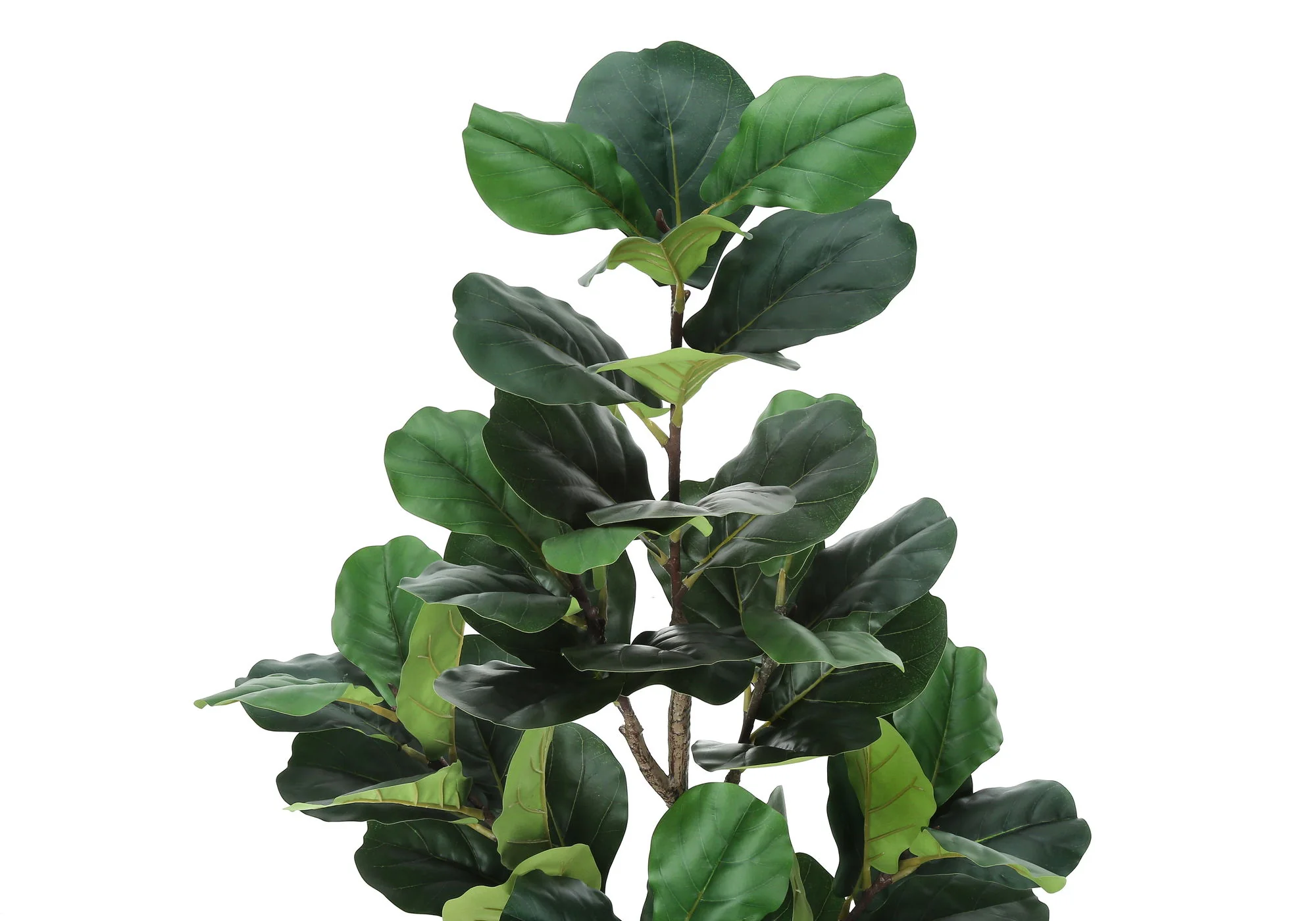 49" Tall, Artificial Plant, Fiddle Tree, Indoor, Faux, Fake, Floor, Greenery, Potted, Real Touch, Decorative - Green / Black - Image 5