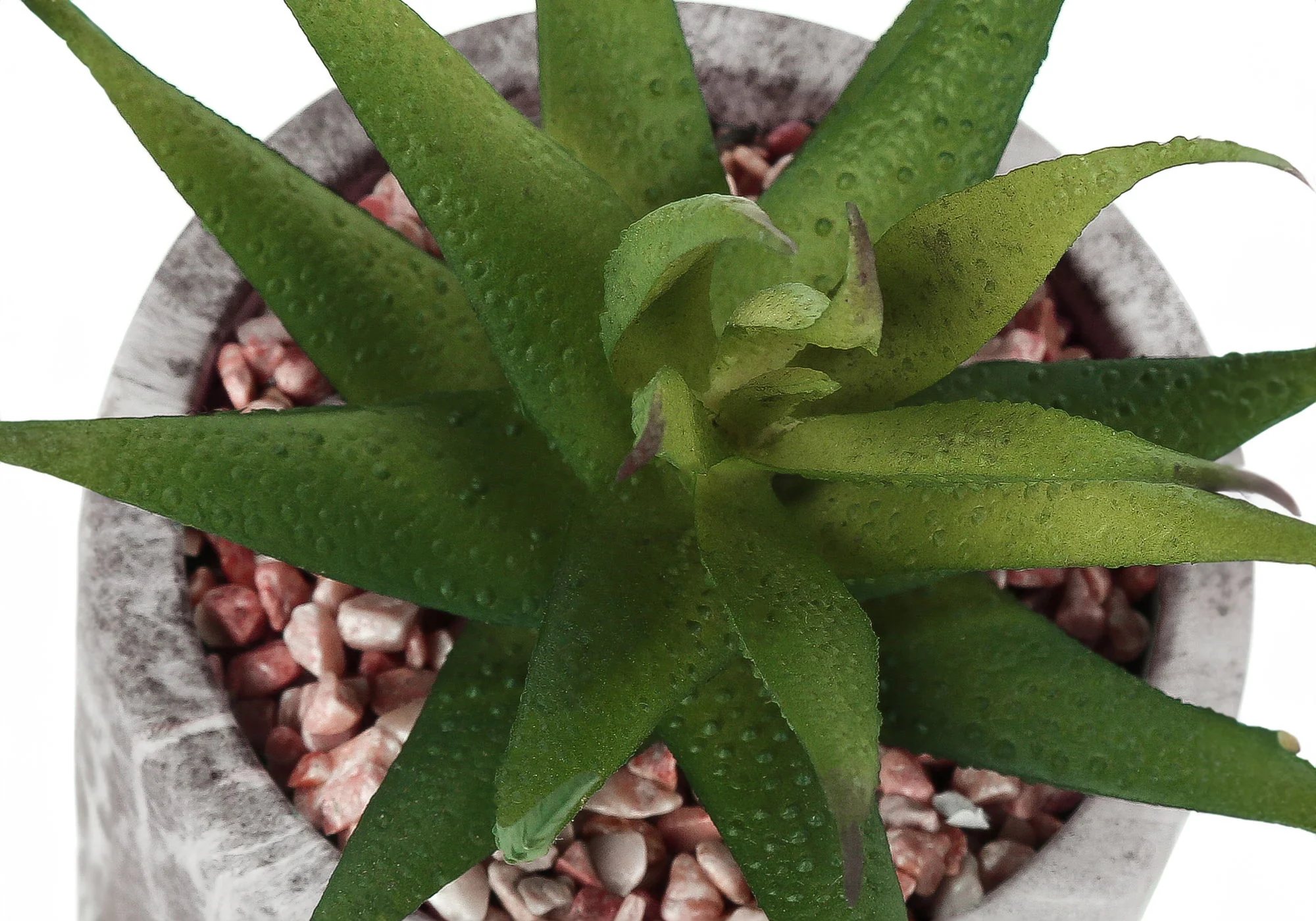 6" Tall, Artificial Plant, Succulent, Indoor, Faux, Fake, Table, Greenery, Potted, Decorative (Set of 2) - Green / Gray - Image 5