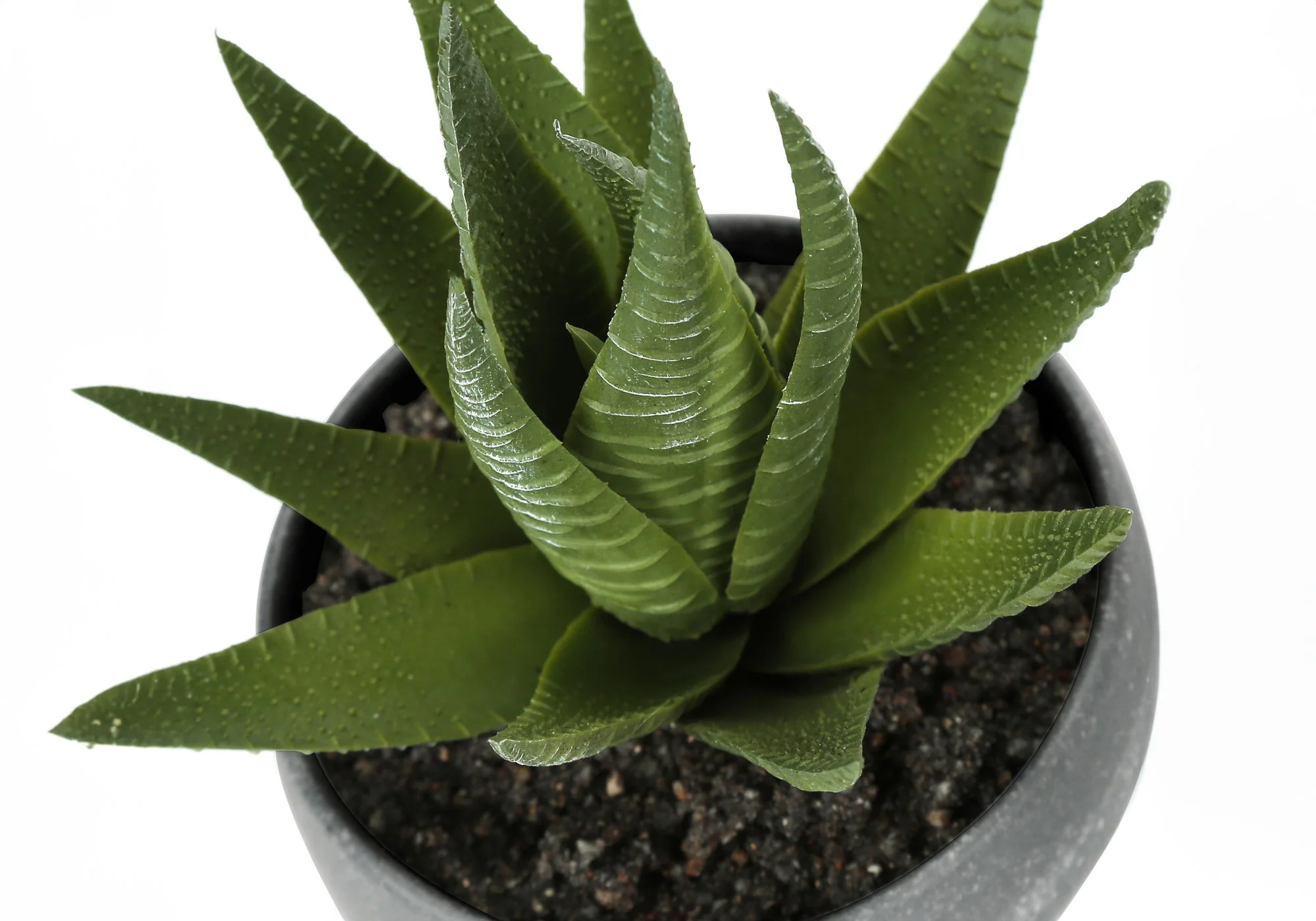 6" Tall, Artificial Plant, Succulent, Indoor, Faux, Fake, Table, Greenery, Potted, Decorative (Set of 3) - Green / Gray - Image 7