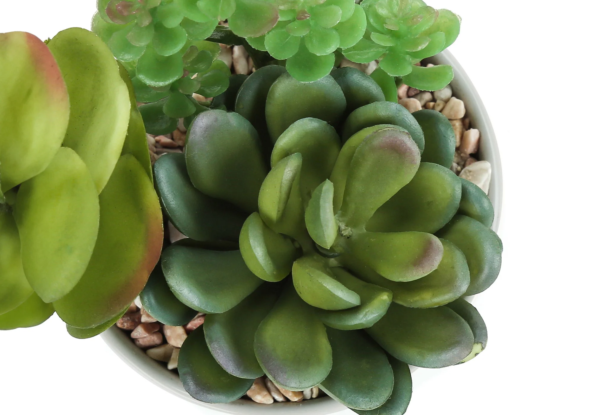 7" Tall, Artificial Plant, Succulent, Indoor, Faux, Fake, Table, Greenery, Potted, Decorative (Set of 2) - Green / White - Image 2