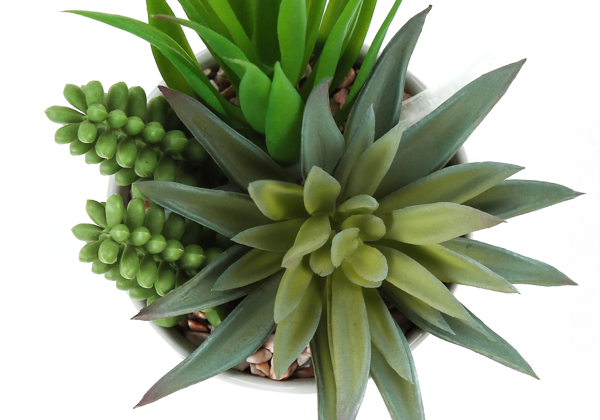 7" Tall, Artificial Plant, Succulent, Indoor, Faux, Fake, Table, Greenery, Potted, Decorative (Set of 2) - Green / White - Image 3