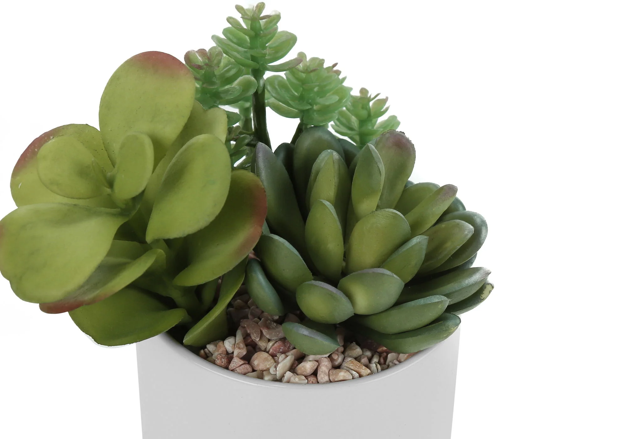 7" Tall, Artificial Plant, Succulent, Indoor, Faux, Fake, Table, Greenery, Potted, Decorative (Set of 2) - Green / White - Image 5