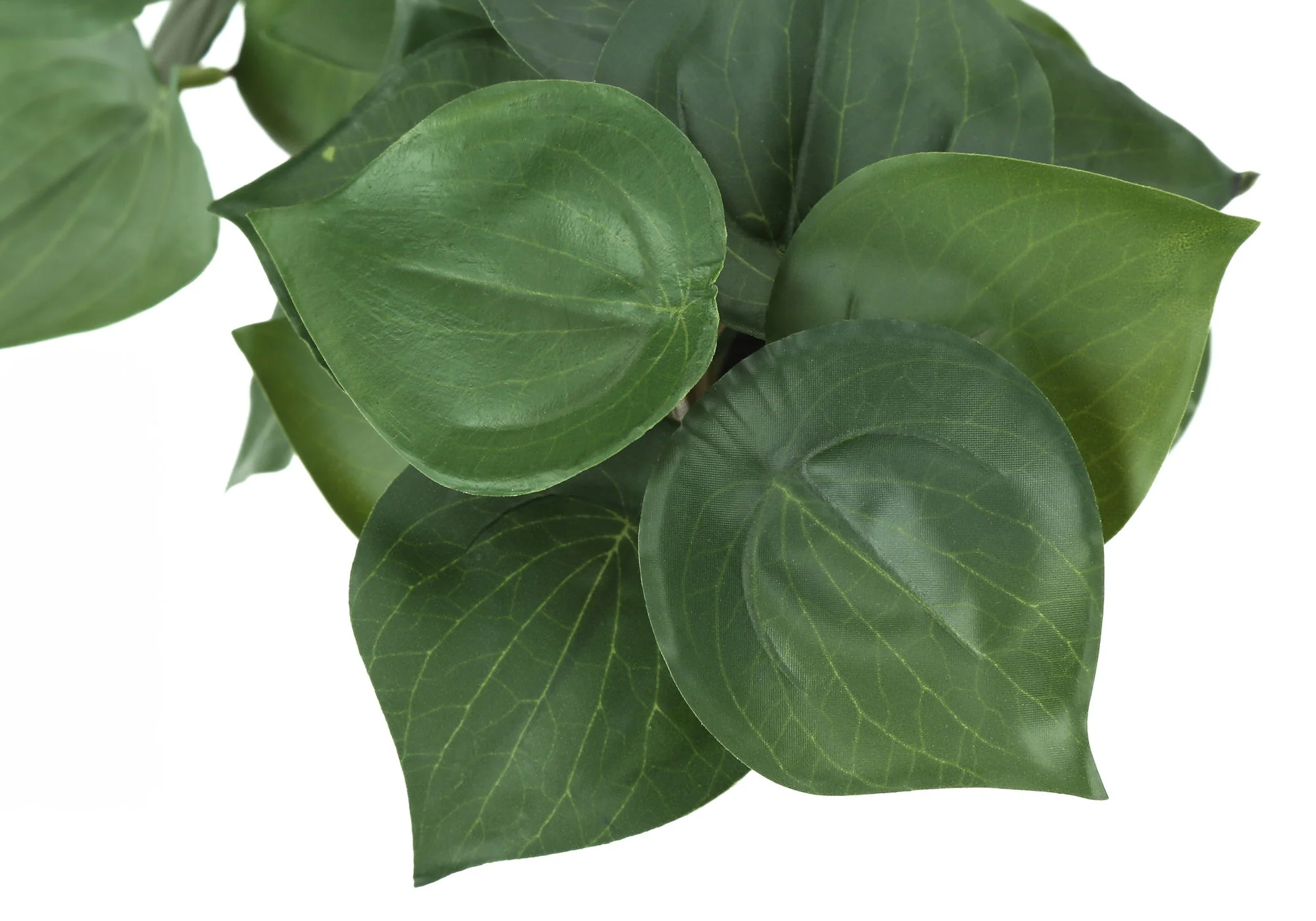 8" Tall, Artificial Plant, Alocasia, Indoor, Faux, Fake, Table, Greenery, Potted, Decorative (Set of 2) - Green / White - Image 4