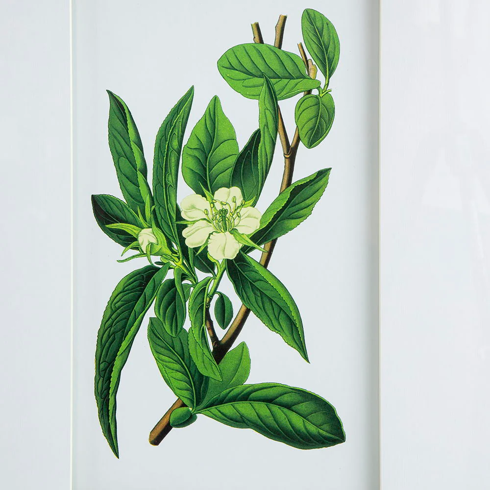 Botanical Flower Wall Art, Home Decor For Living Room Dining Room, Bedroom, Hallway (Set of 4) - White / Blue - Image 9