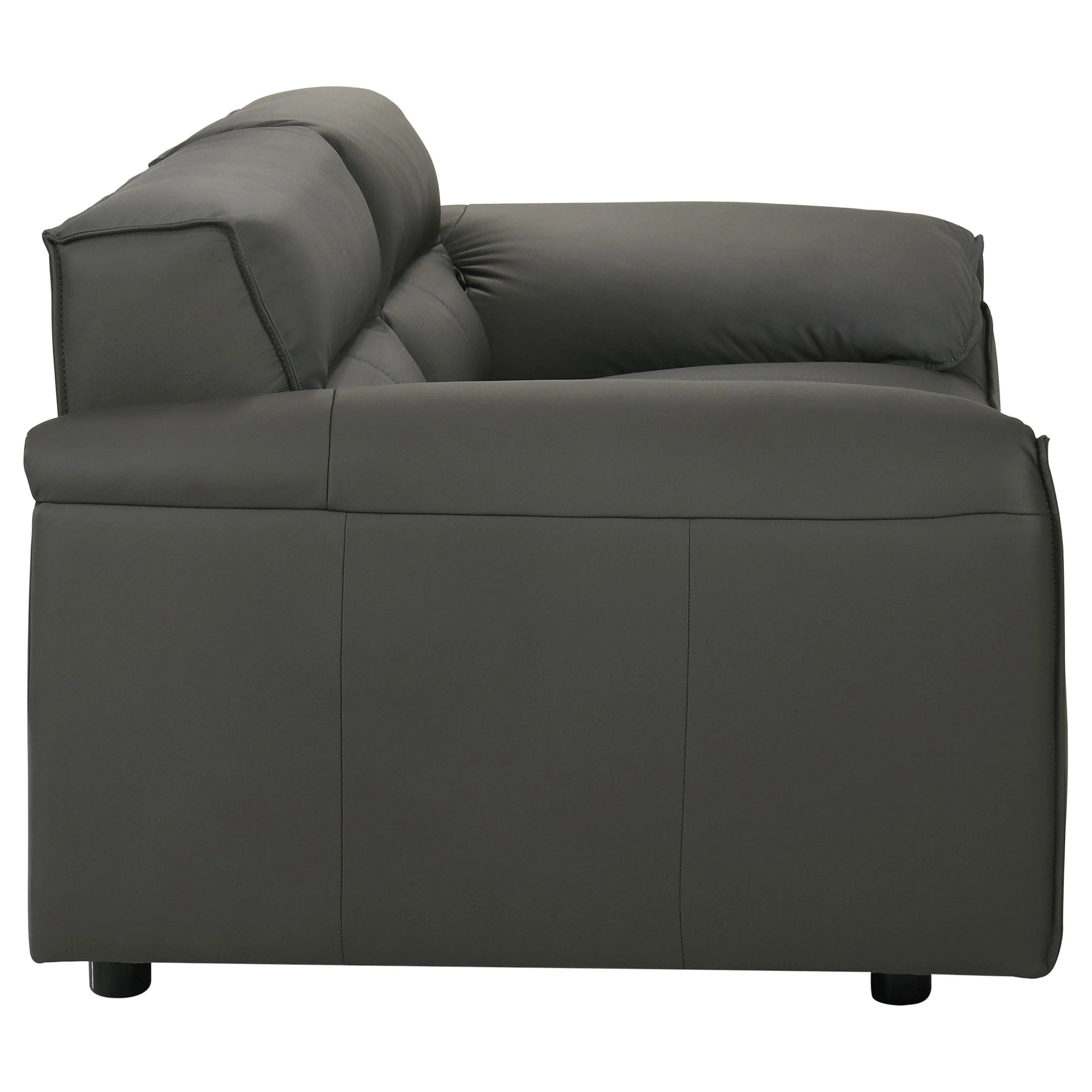 Buxton 2-Piece Leather Sofa Set in Graphite - Image 12