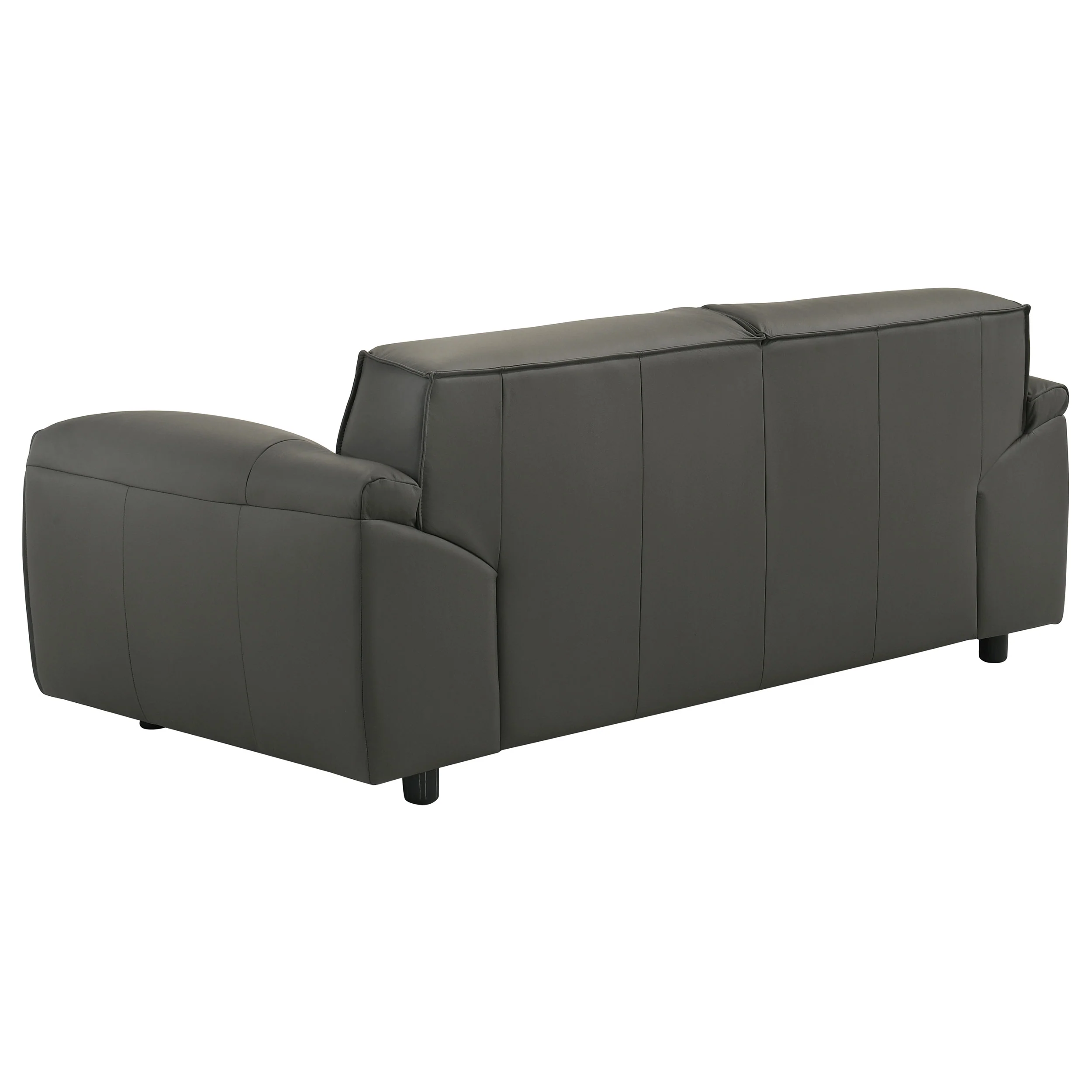 Buxton 2-Piece Leather Sofa Set in Graphite - Image 6