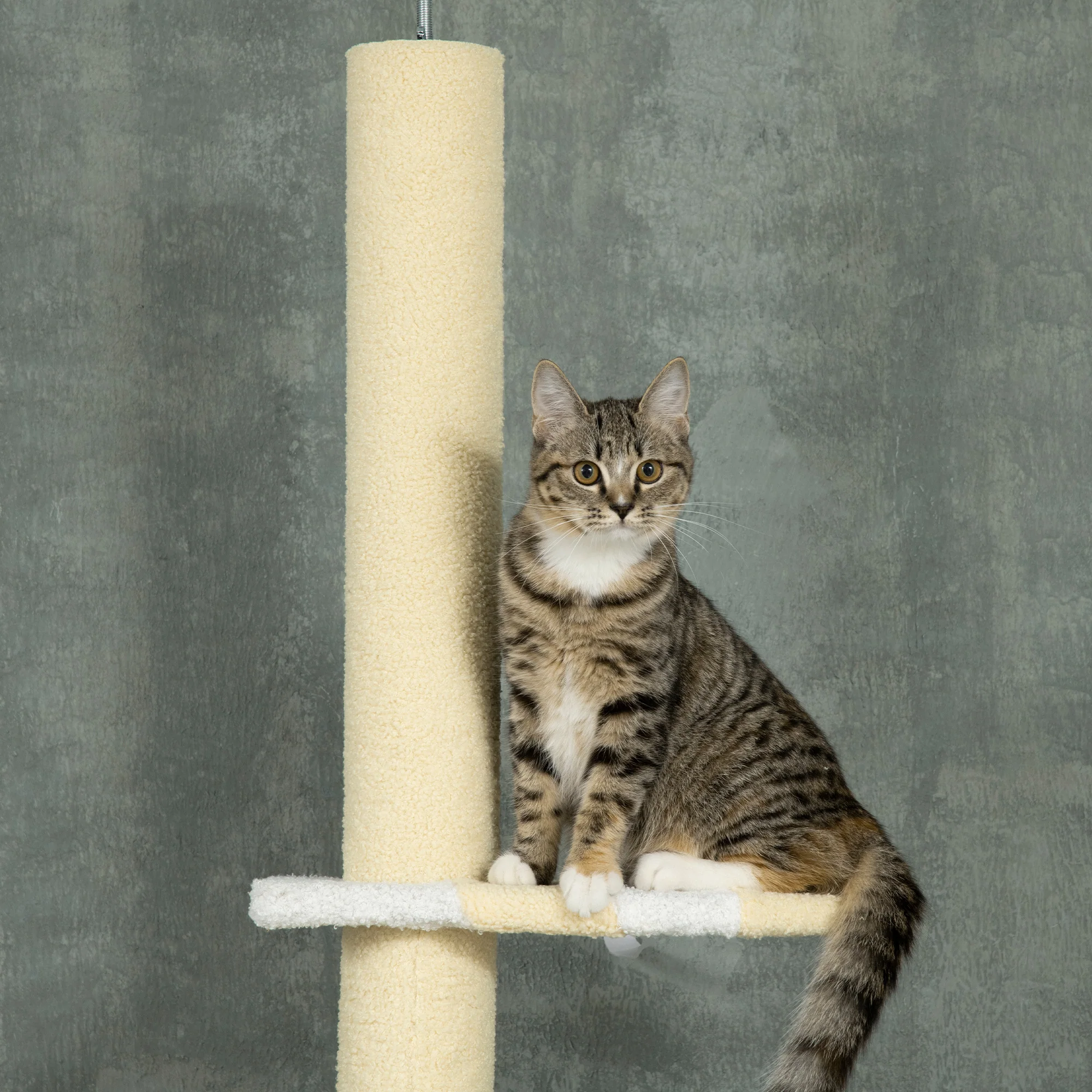 Calathea 103-Inch 4-Tier Floor-to-Ceiling Cat Tree with Sisal Scratching Posts - Image 7