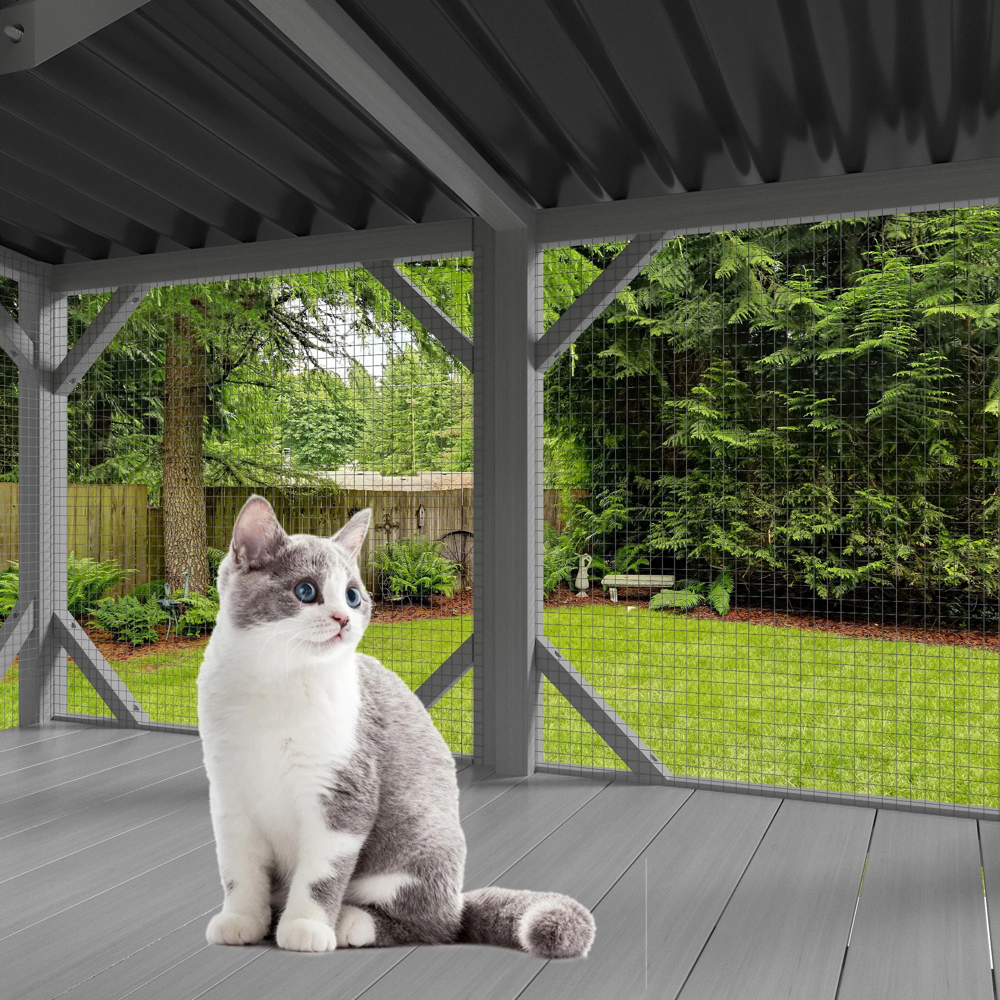 Cat Window Box - Image 11
