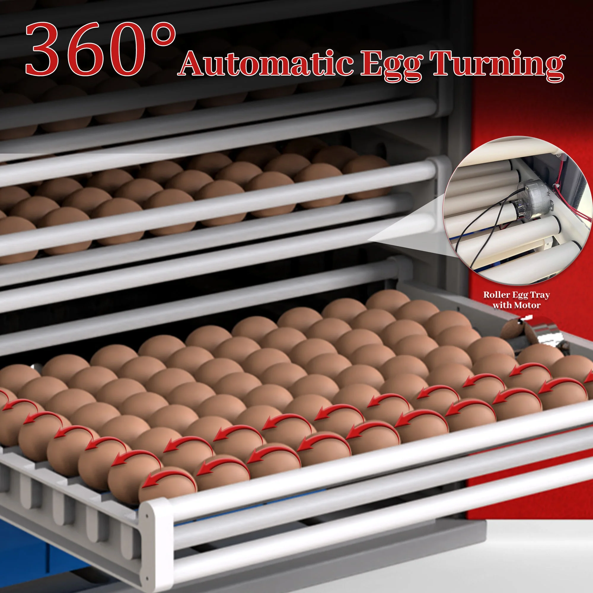Commercial Egg Digital Cabinet Incubator With Auto Temperature & Humidity Control - Image 15