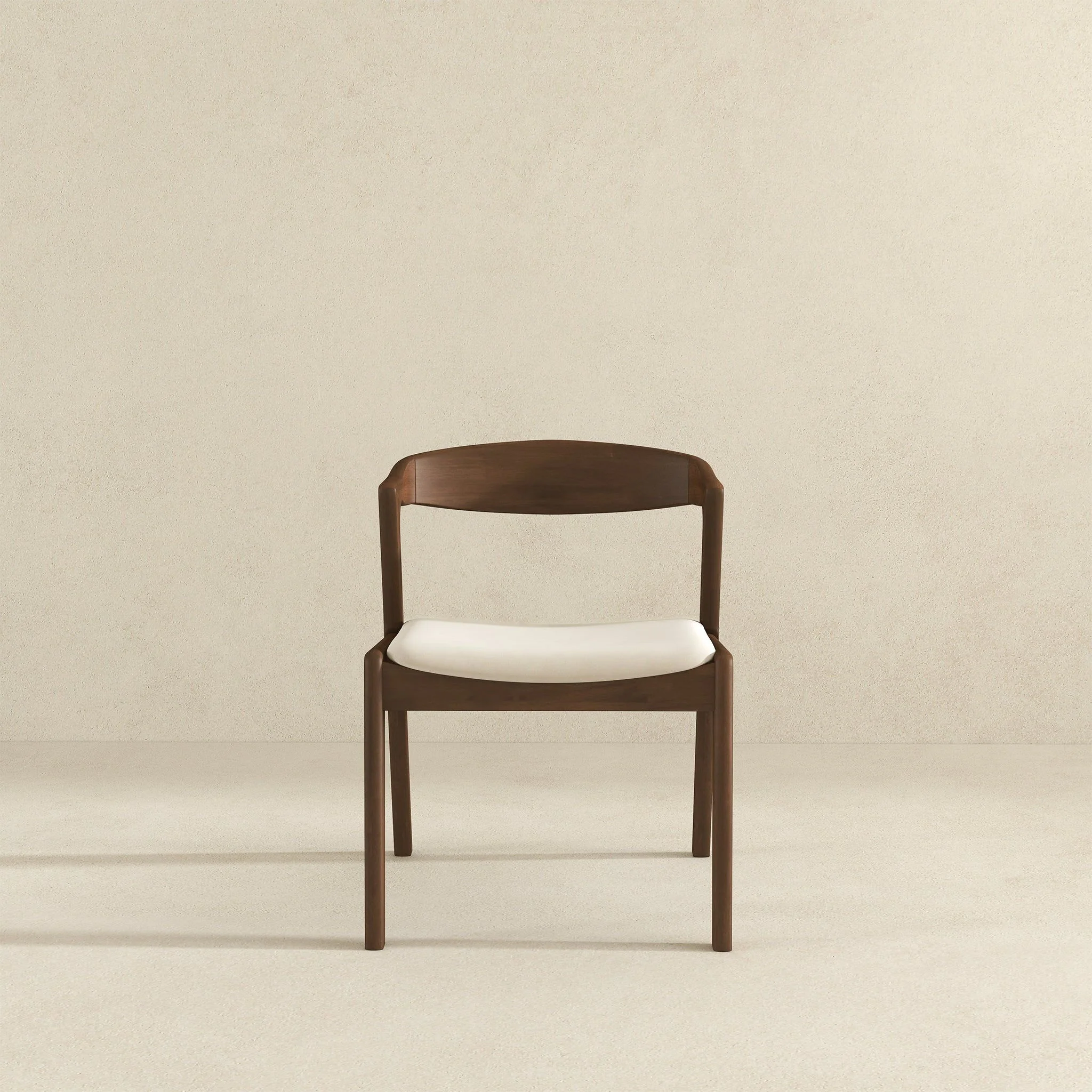 Dakota - Mid-Century Modern Dining Chair (Set of 2) - Image 25