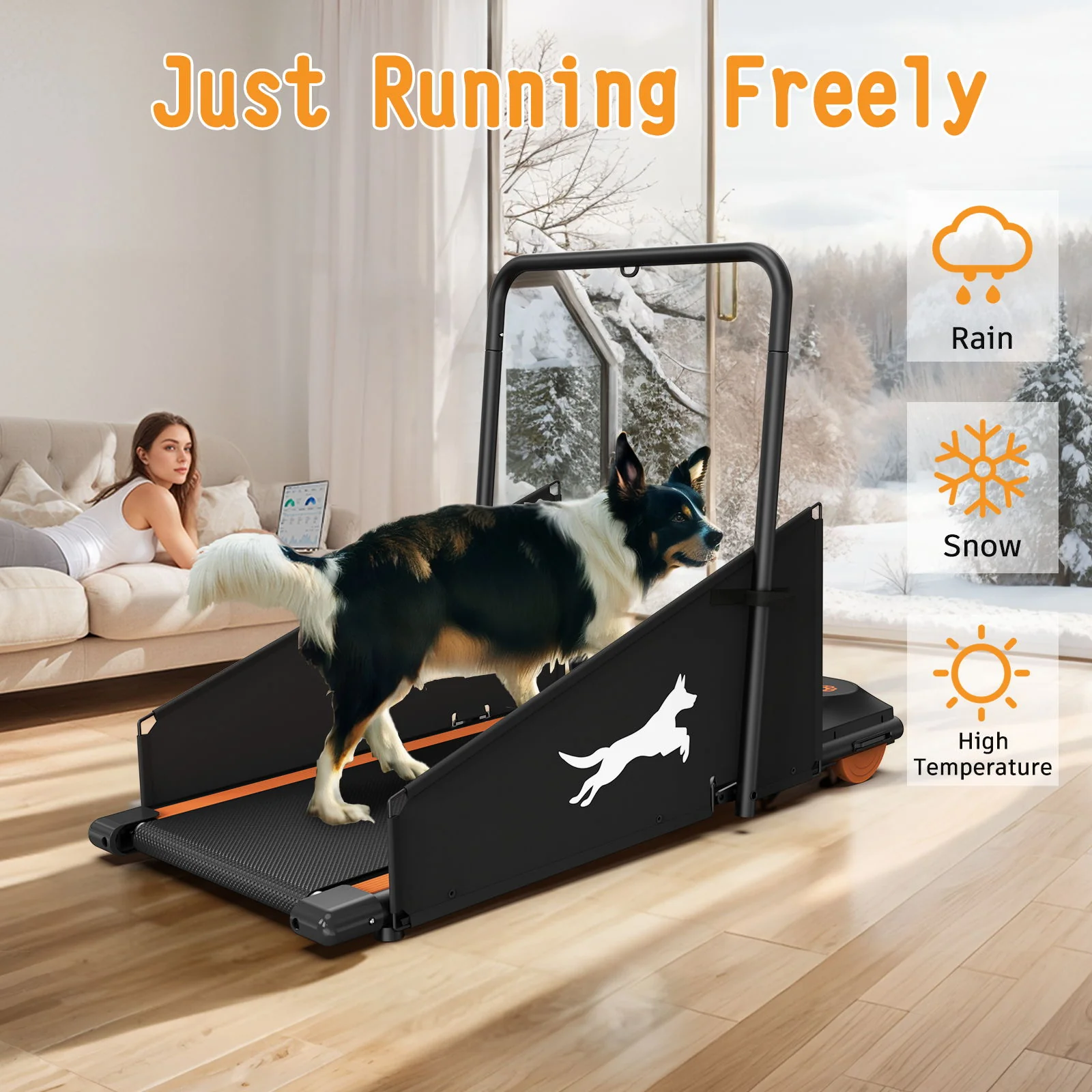 Dog Treadmill For Small To Medium Dogs With LED Display - Black / Orange - Image 4