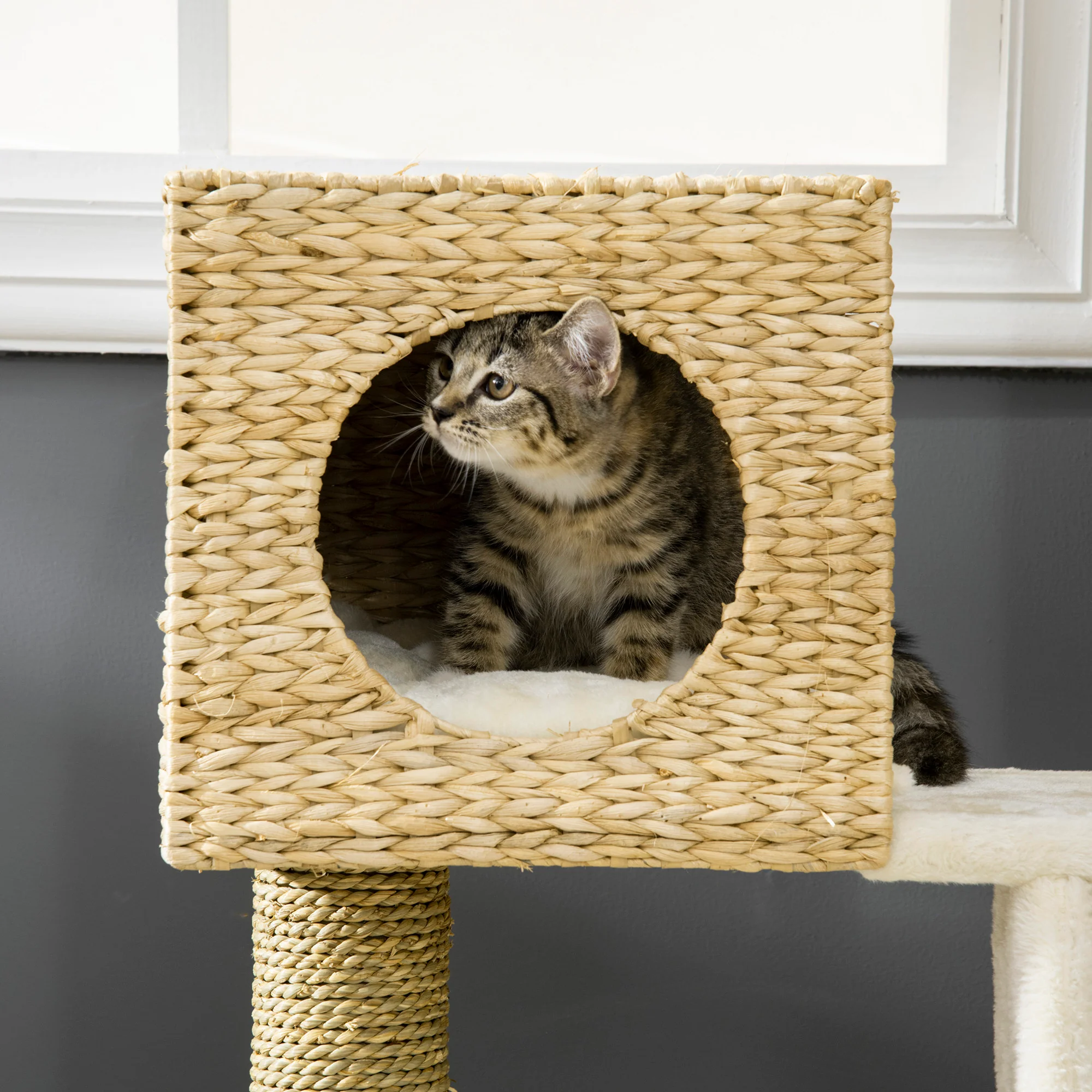 Fenwick 39-Inch Cattail Weave Cat Tree with Condo and Climbing Ladder - Image 4