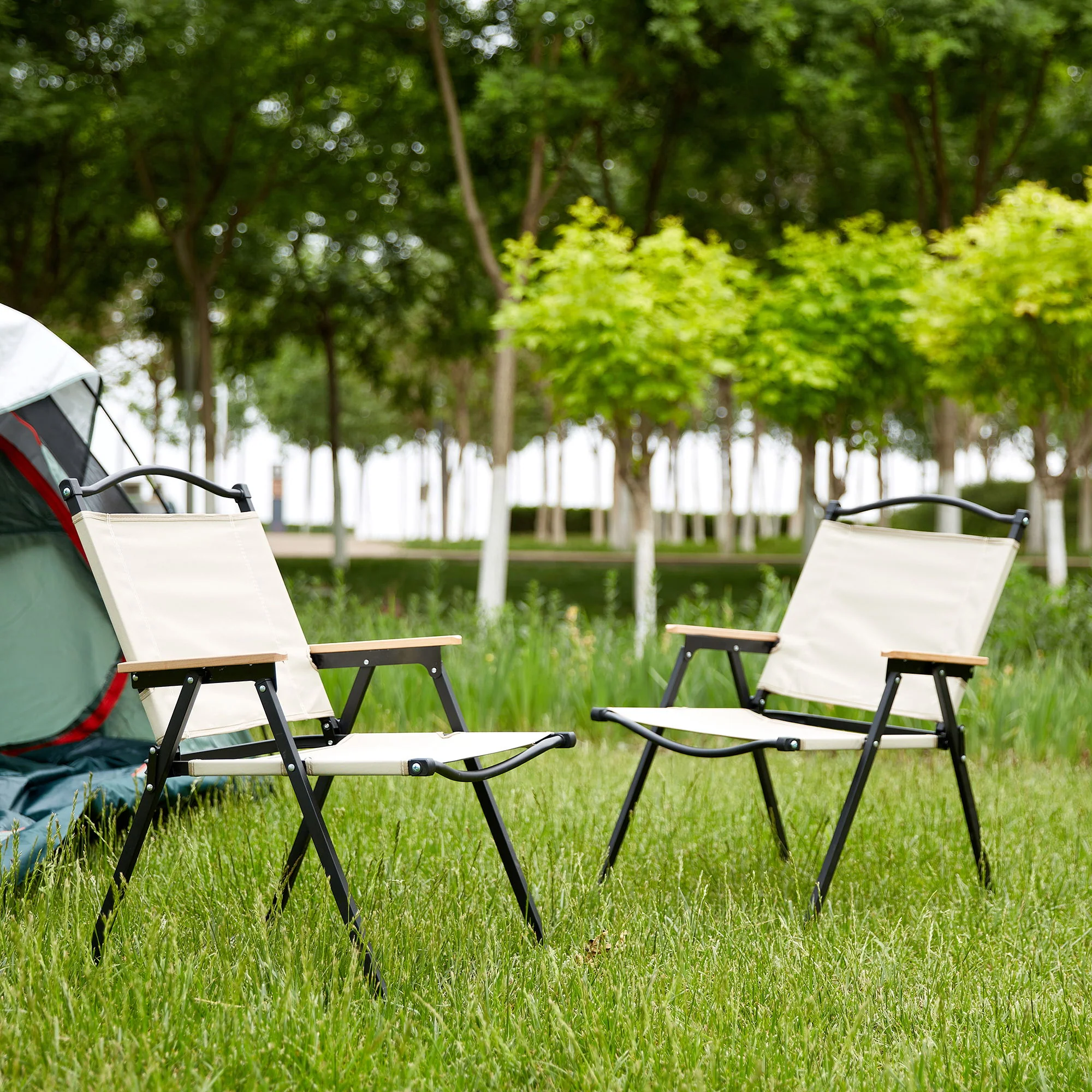 Folding Outdoor Chair For Indoor, Outdoor Camping, Picnics, Beach, Backyard, Bbq, Party, Patio - Image 5
