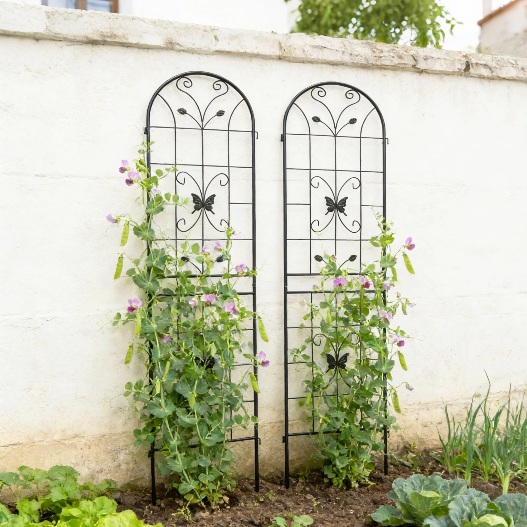 Garden Metal Trellis Rustproof Trellis For Climbing Plants Outdoor Flower Support - Image 24