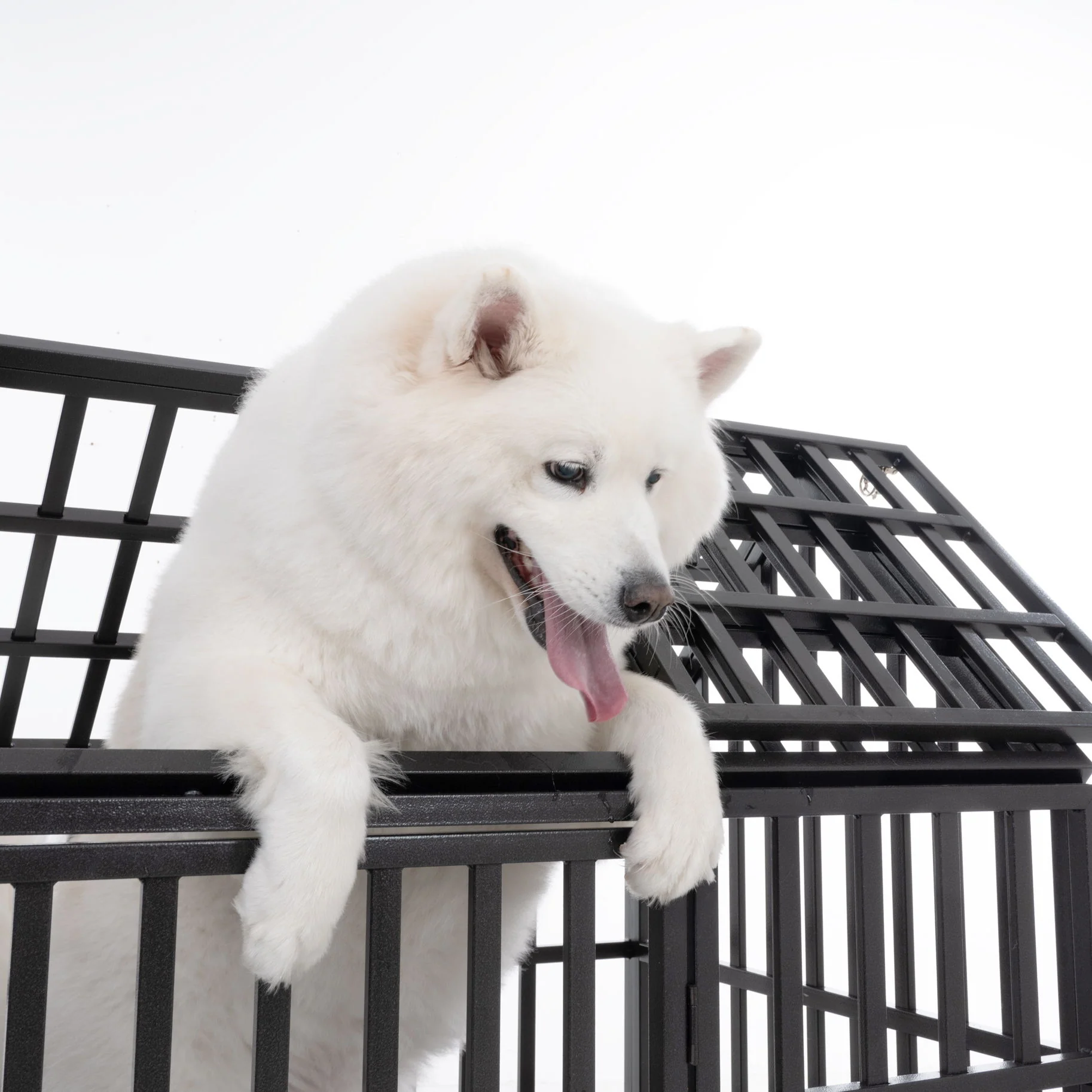 Heavy Duty Dog Crate Lockable Wheels - Image 4