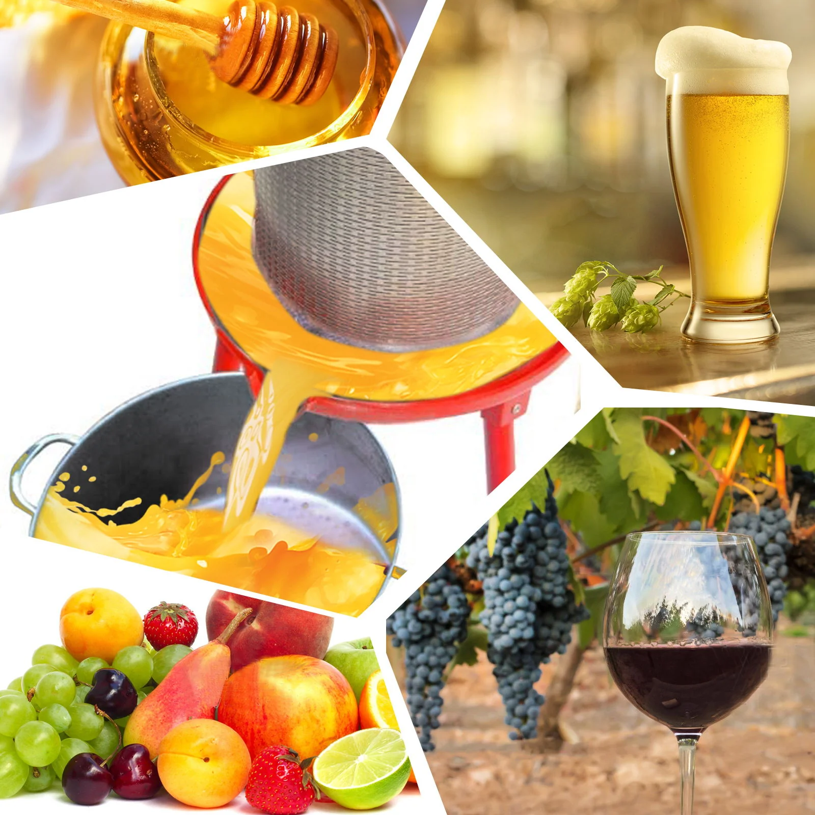 Hydraulic Fruit Wine Apple Press 5.3 Gallon / 20L For Wine Cider Making - Red - Image 5