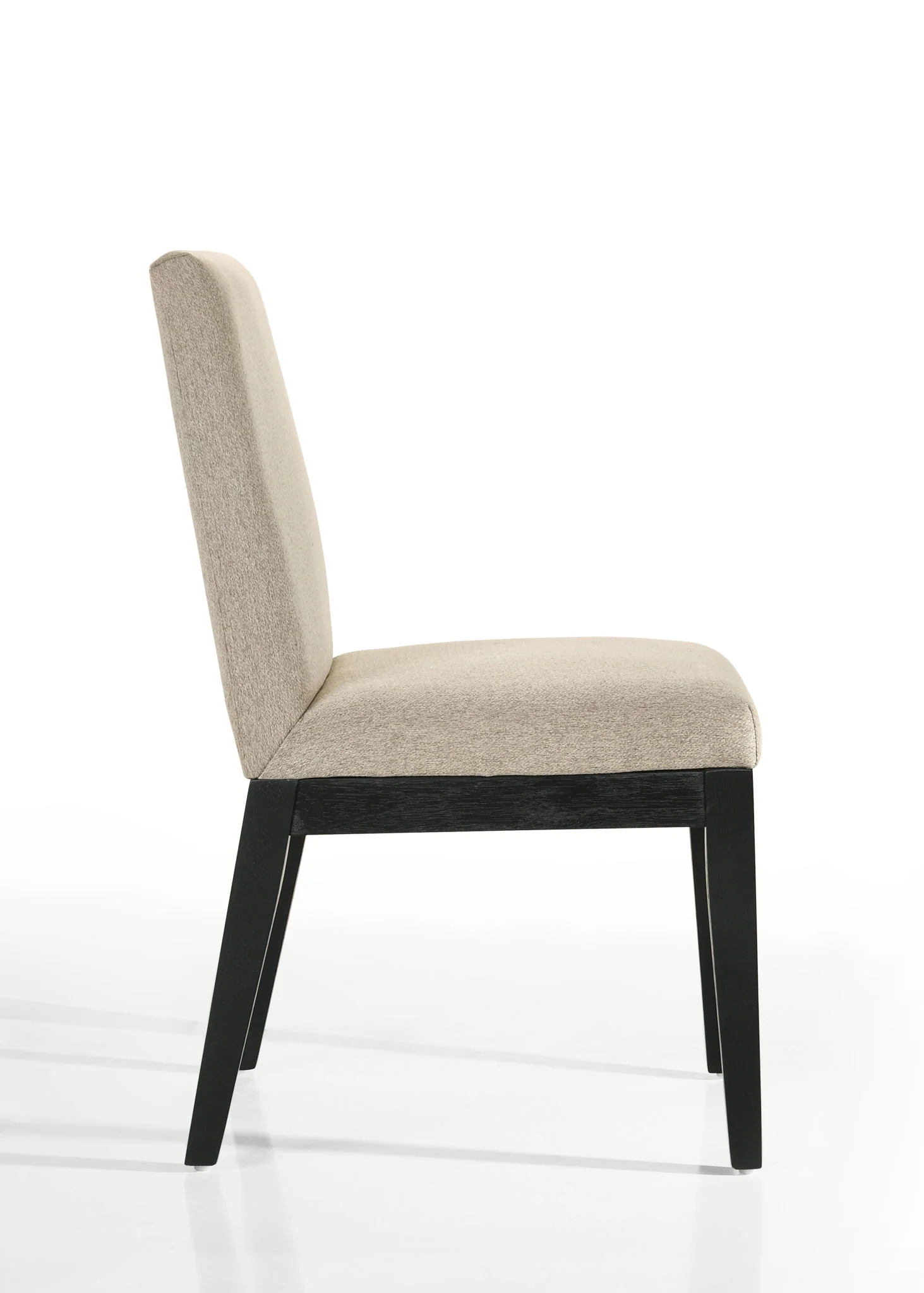 Jasper - Contemporary Fabric 19" Dining Chair (Set of 2) - Image 5