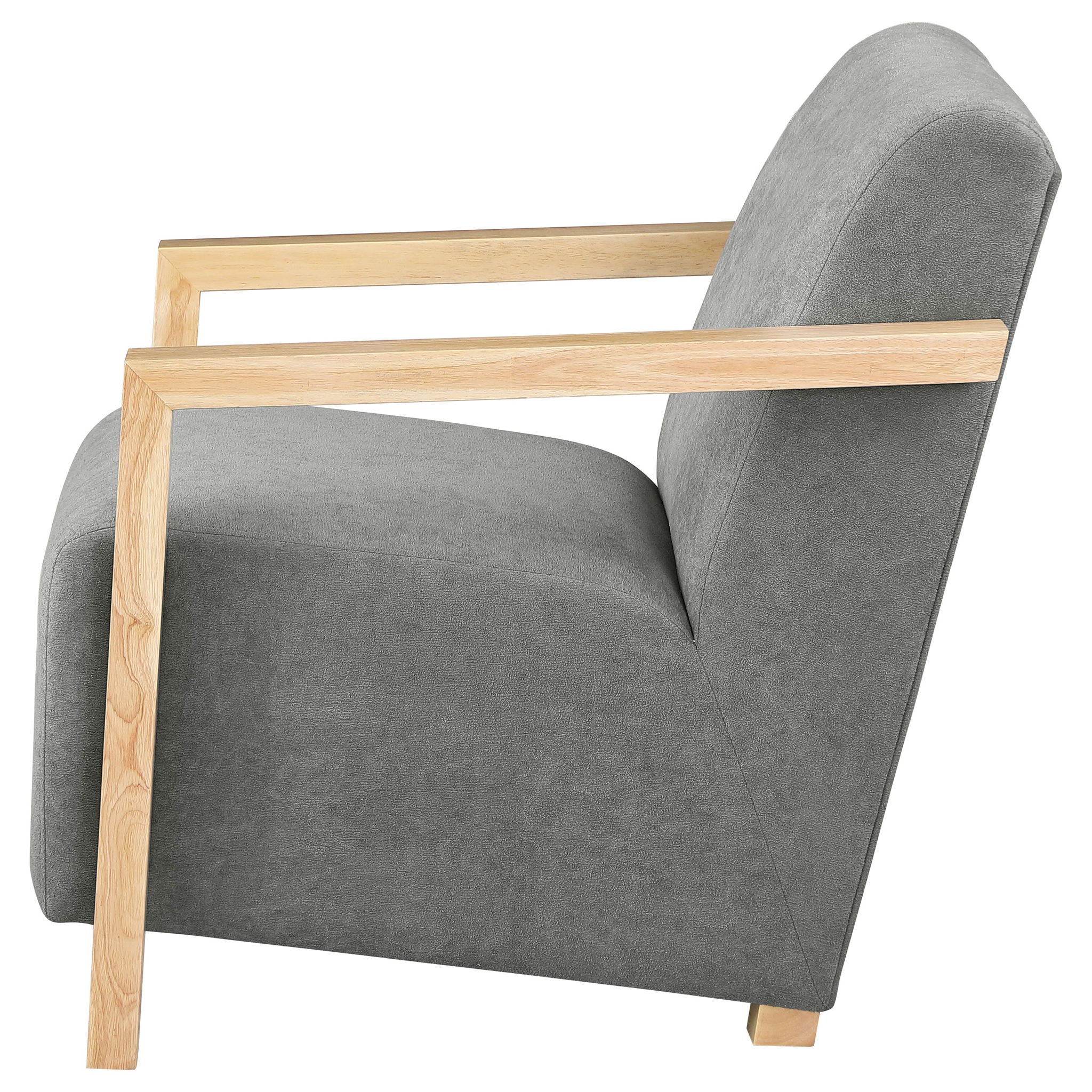 Landis - Accent Arm Chair - Image 5