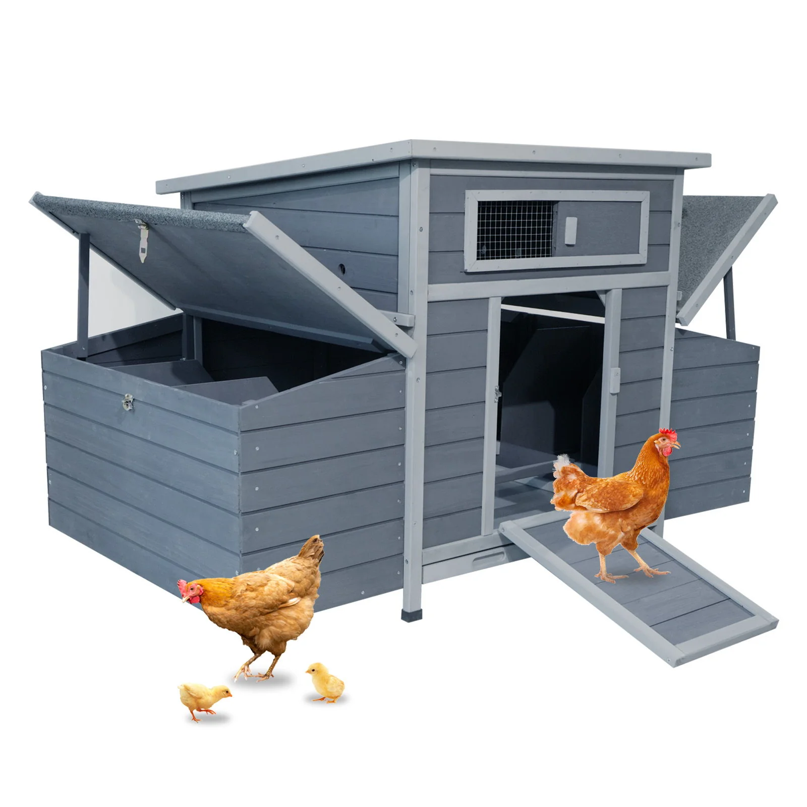 Large Chicken Coop Outdoor Hen House & Dual Nesting Boxes - Image 10