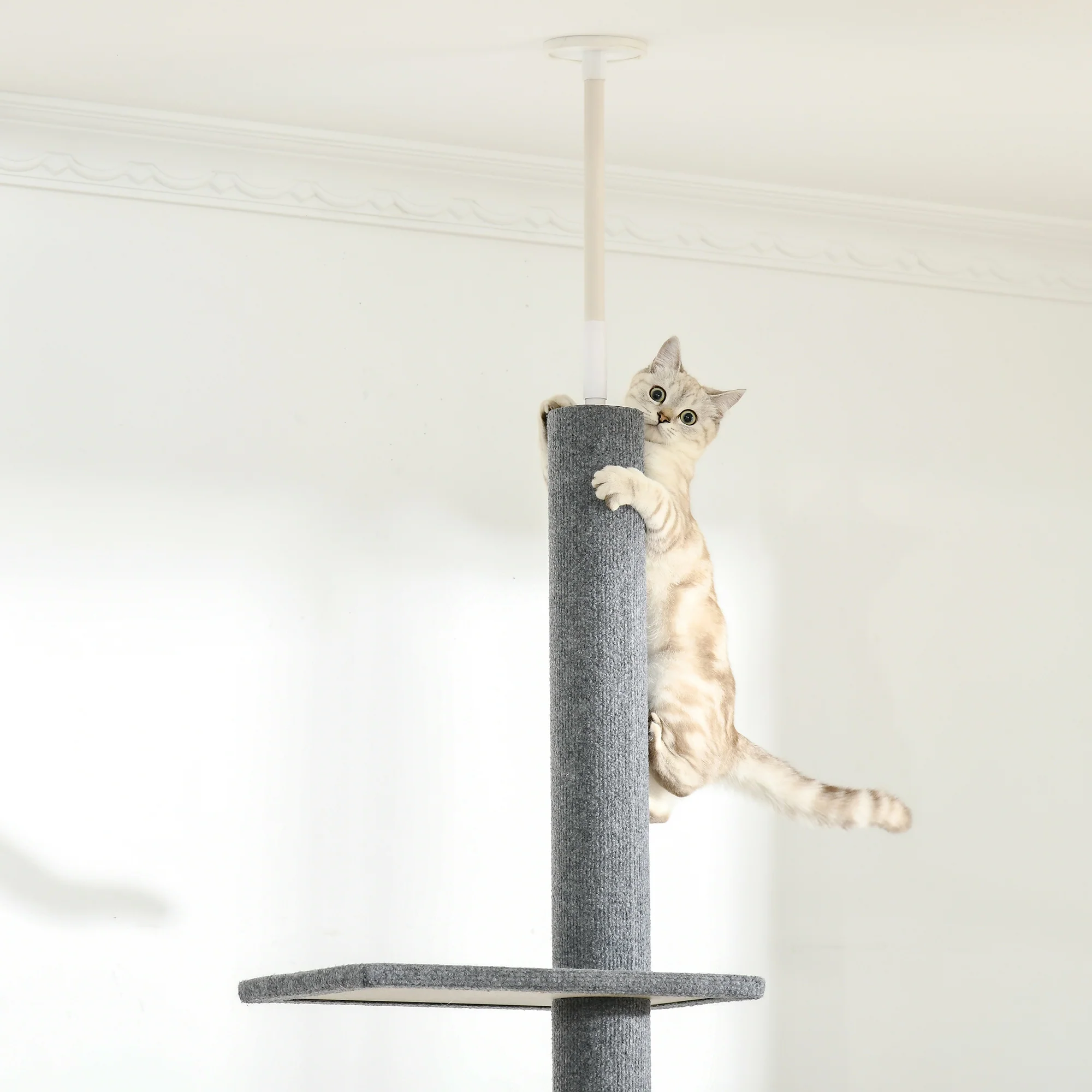 Lyrid 8.5' Floor-to-Ceiling Adjustable Cat Climbing Tower with Tension Rod - Image 3