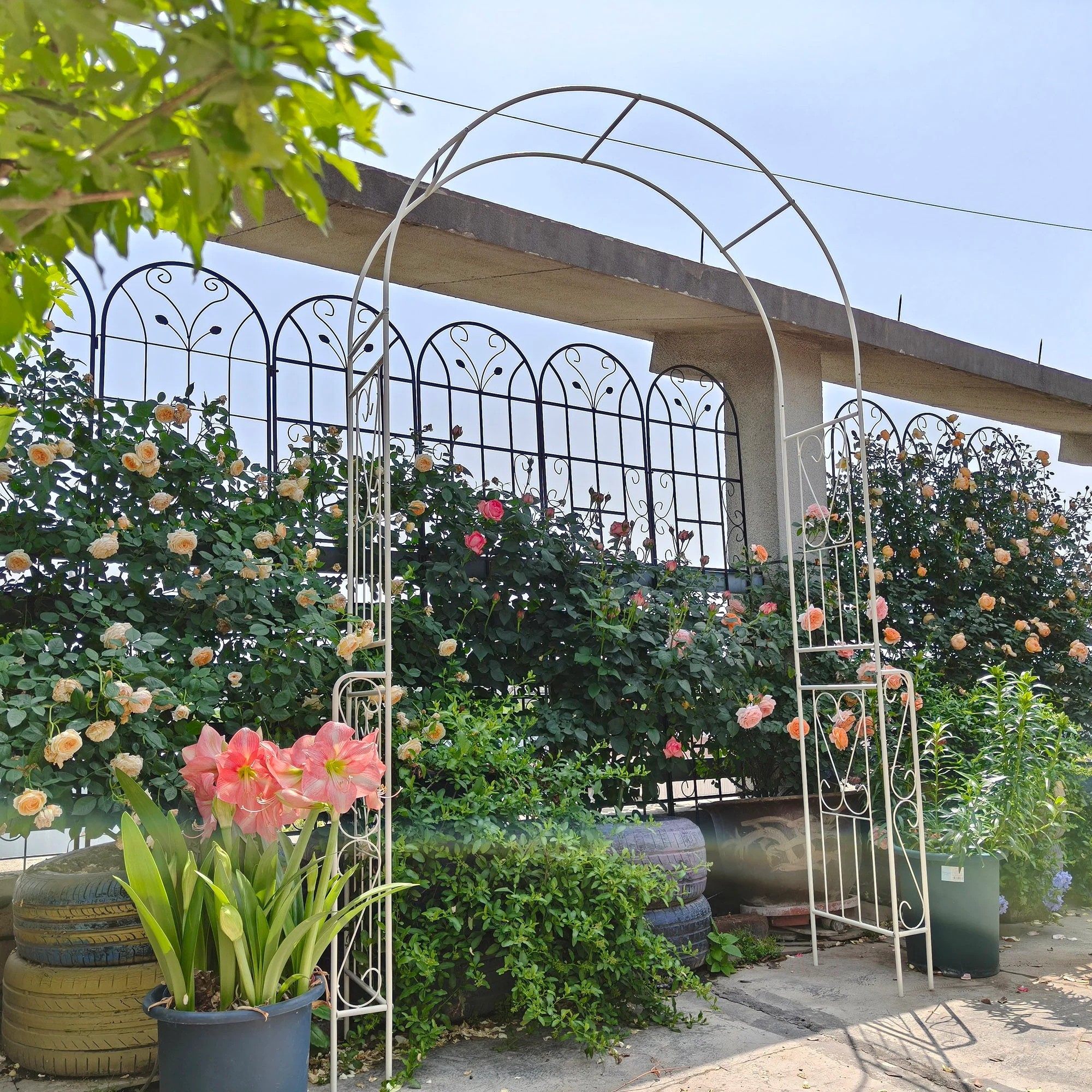 Metal Garden Arch Garden Arbor Trellis Climbing Plants Support Rose Arch Outdoor Arch - Image 10
