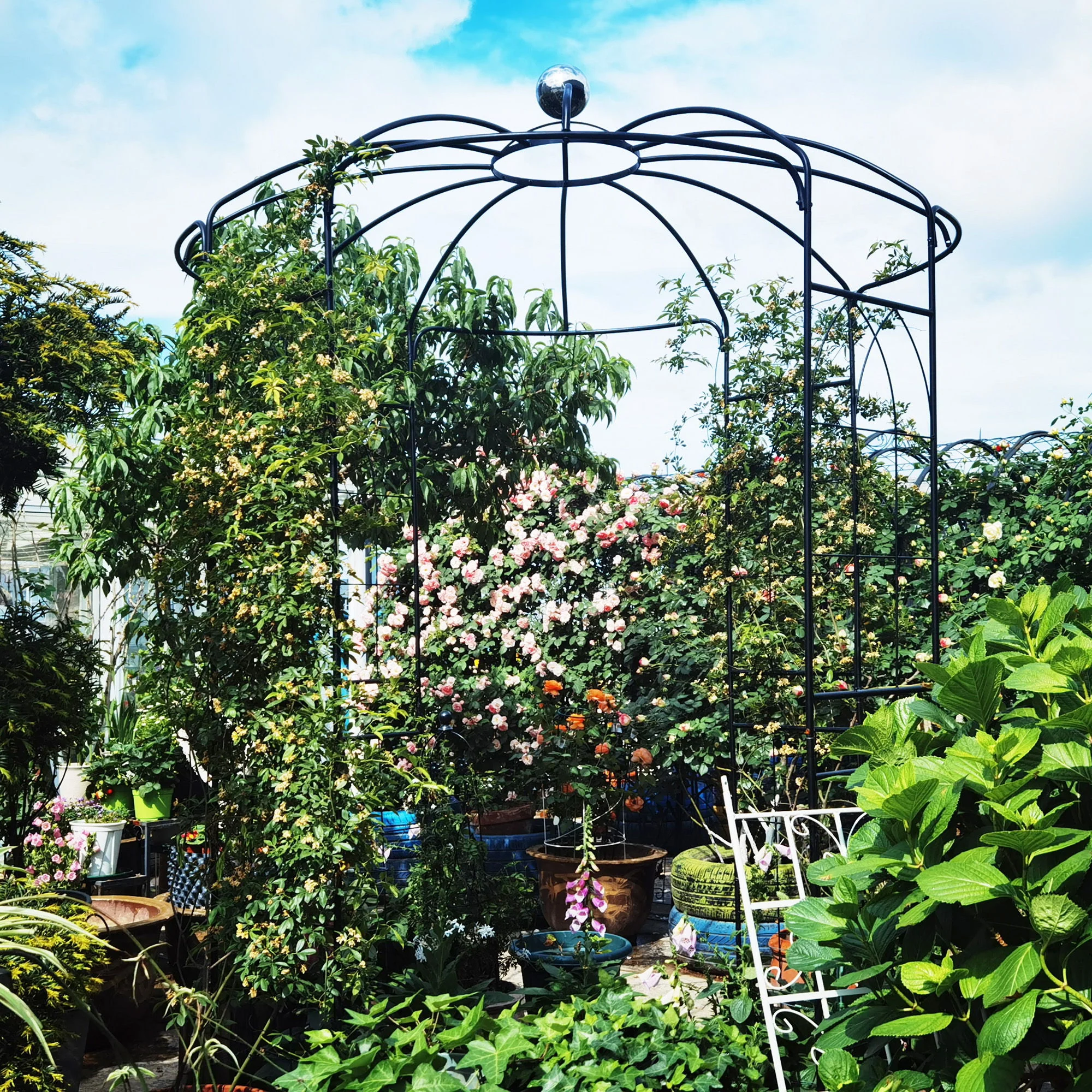 Metal Garden Arch Iron Garden Arbors Gazebo Dia High Birdcage Shape Pergola Pavilion For Wedding Ceremony - Image 6
