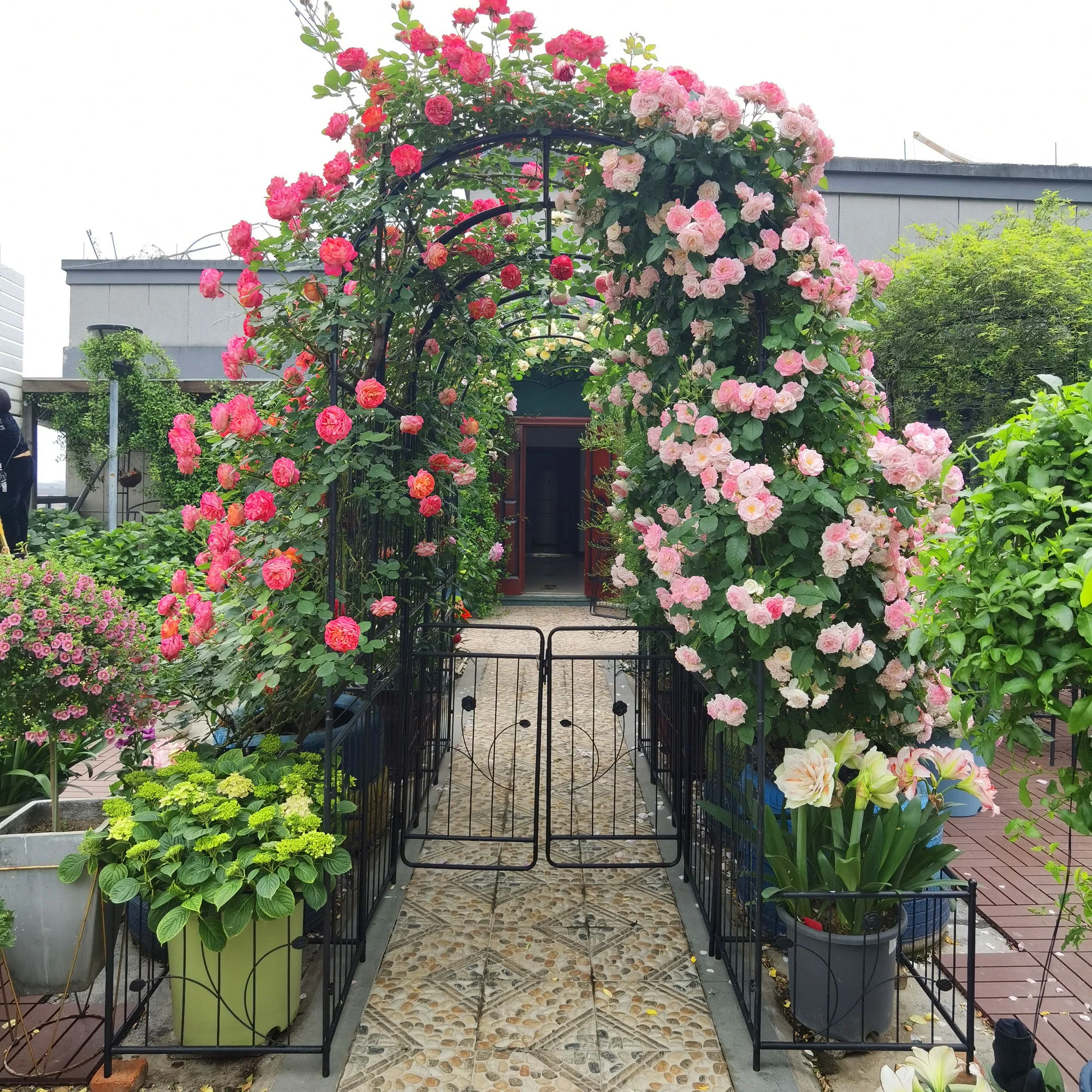 Metal Garden Arch With Two Plant Stands Wide High Climbing Plants Support Rose Arch Outdoor - Black - Image 7