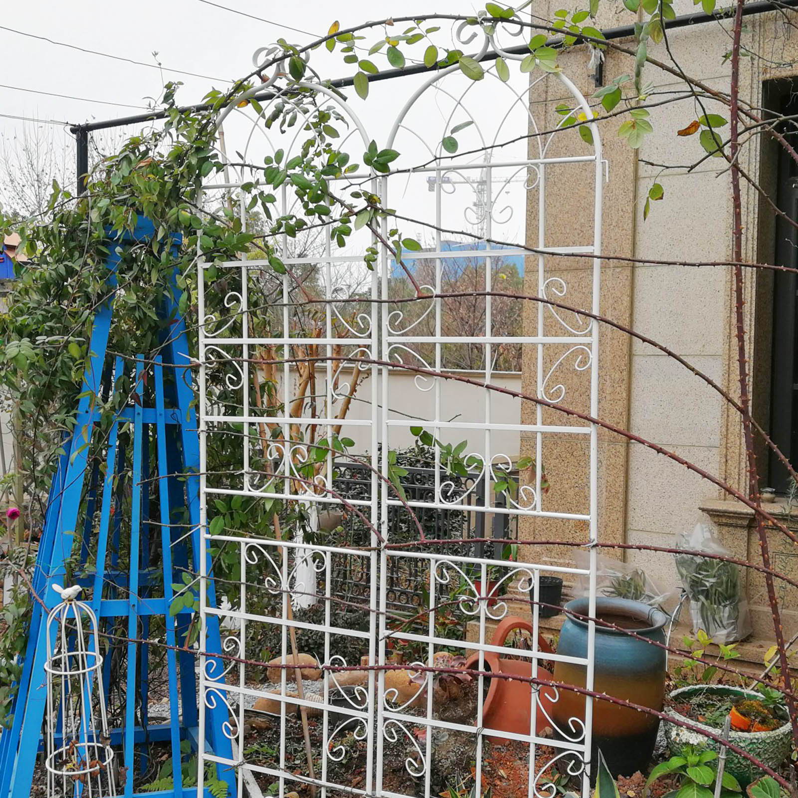 Metal Garden Rustproof Trellis For Climbing Plants Outdoor Flower Support - Image 14