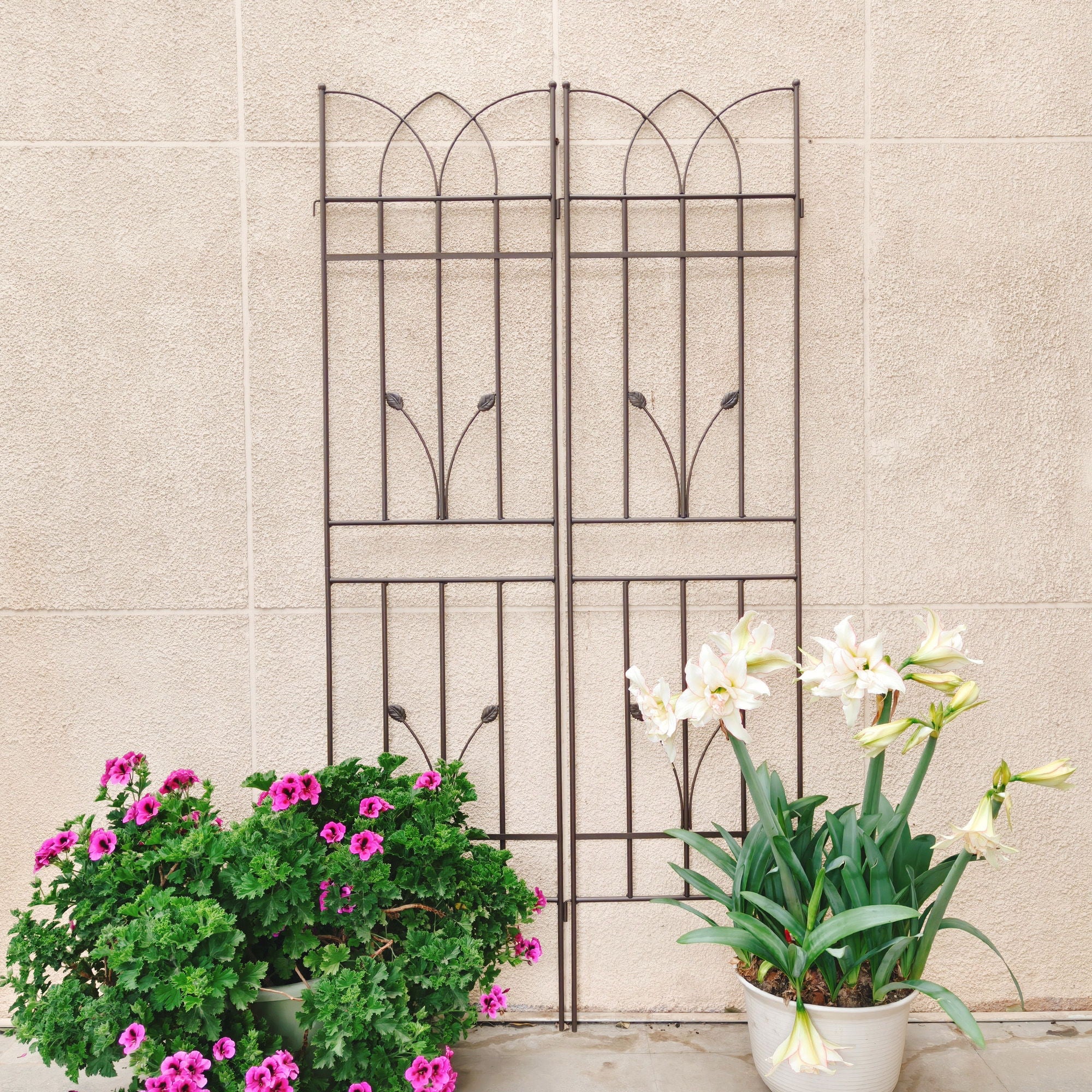 Metal Garden Trellis Rustproof For Climbing Plants Outdoor Flower Support - Image 4