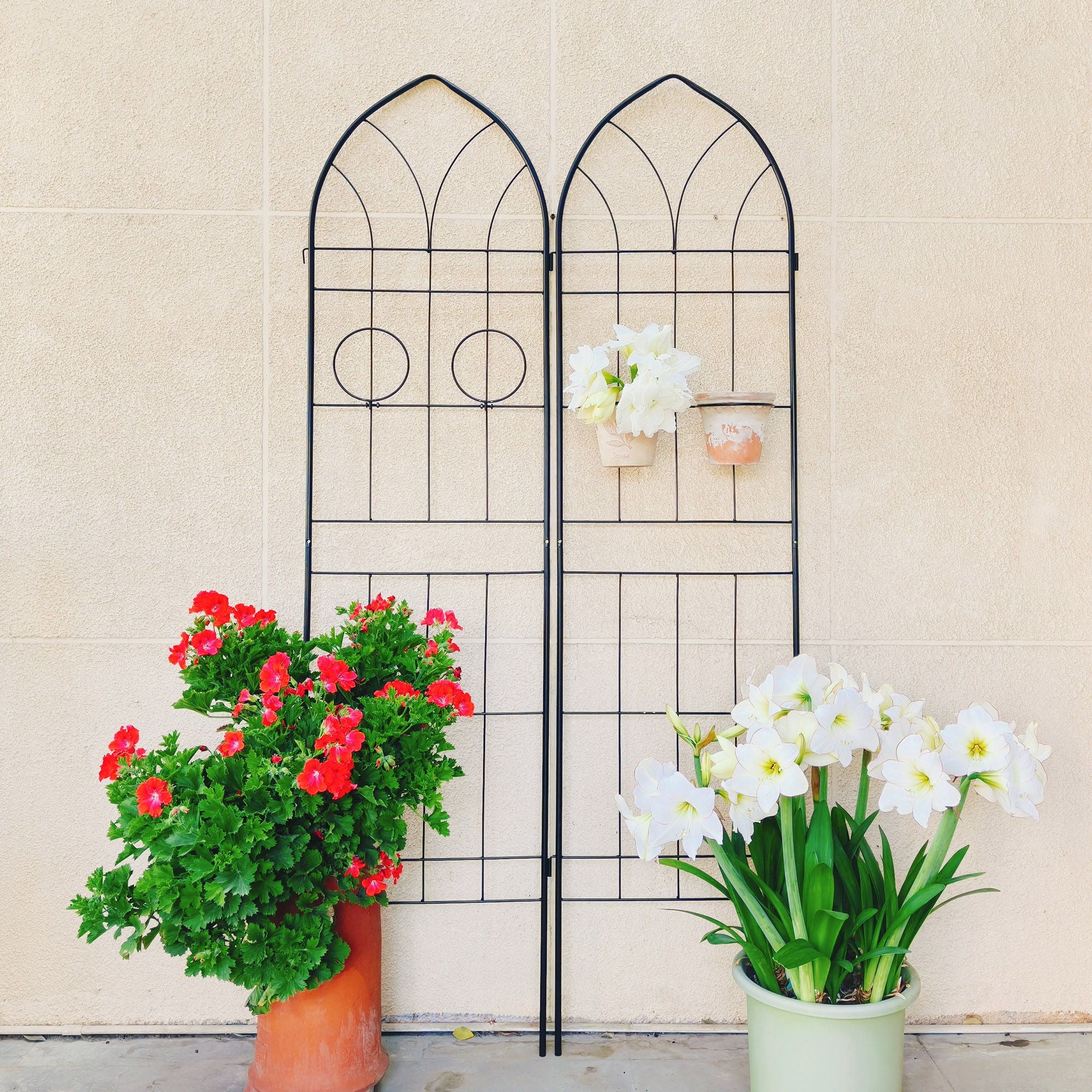 Metal Garden Trellis Rustproof Trellis For Climbing Plant, Outdoor Flower Support - Image 12