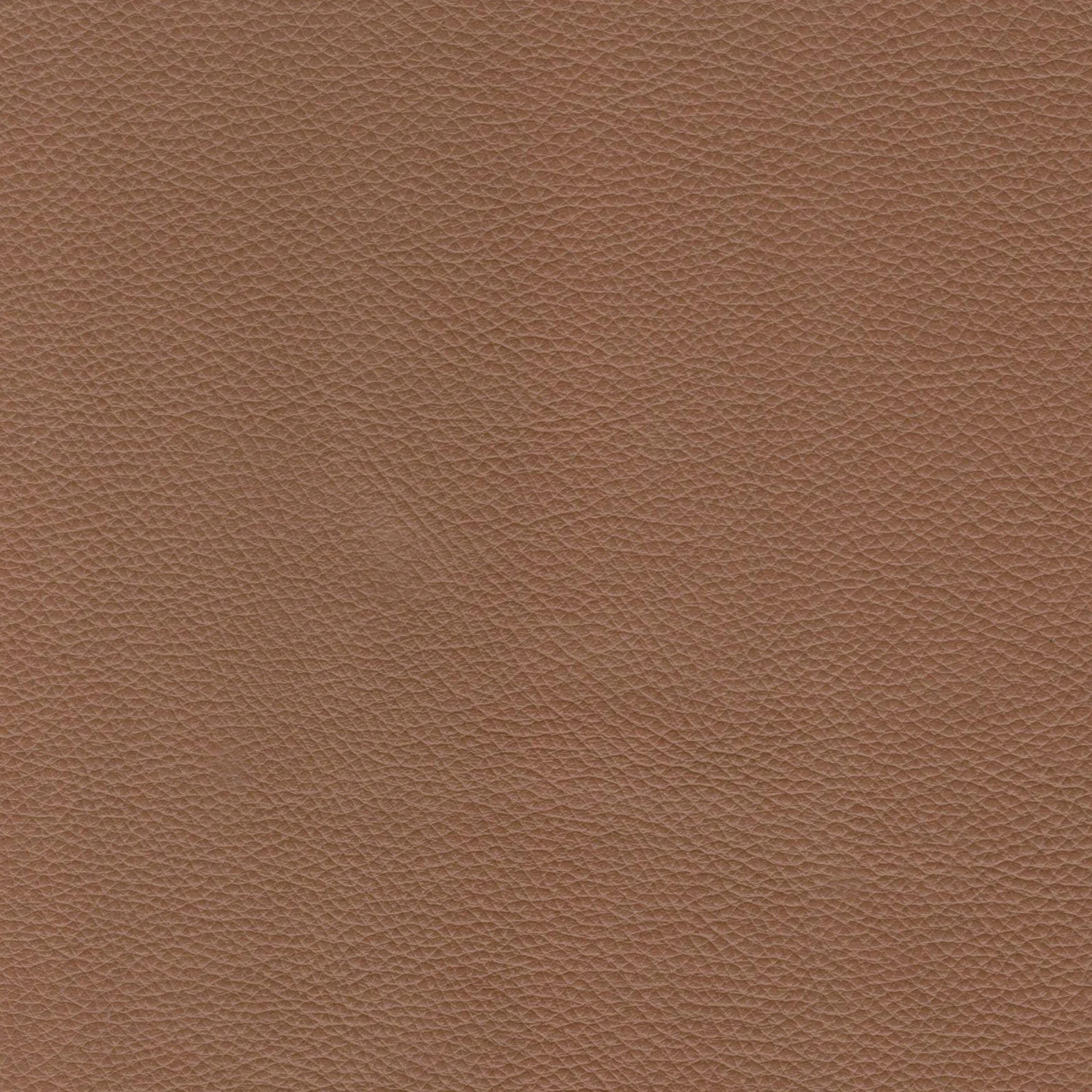 Sofa - Caramel - Image 5