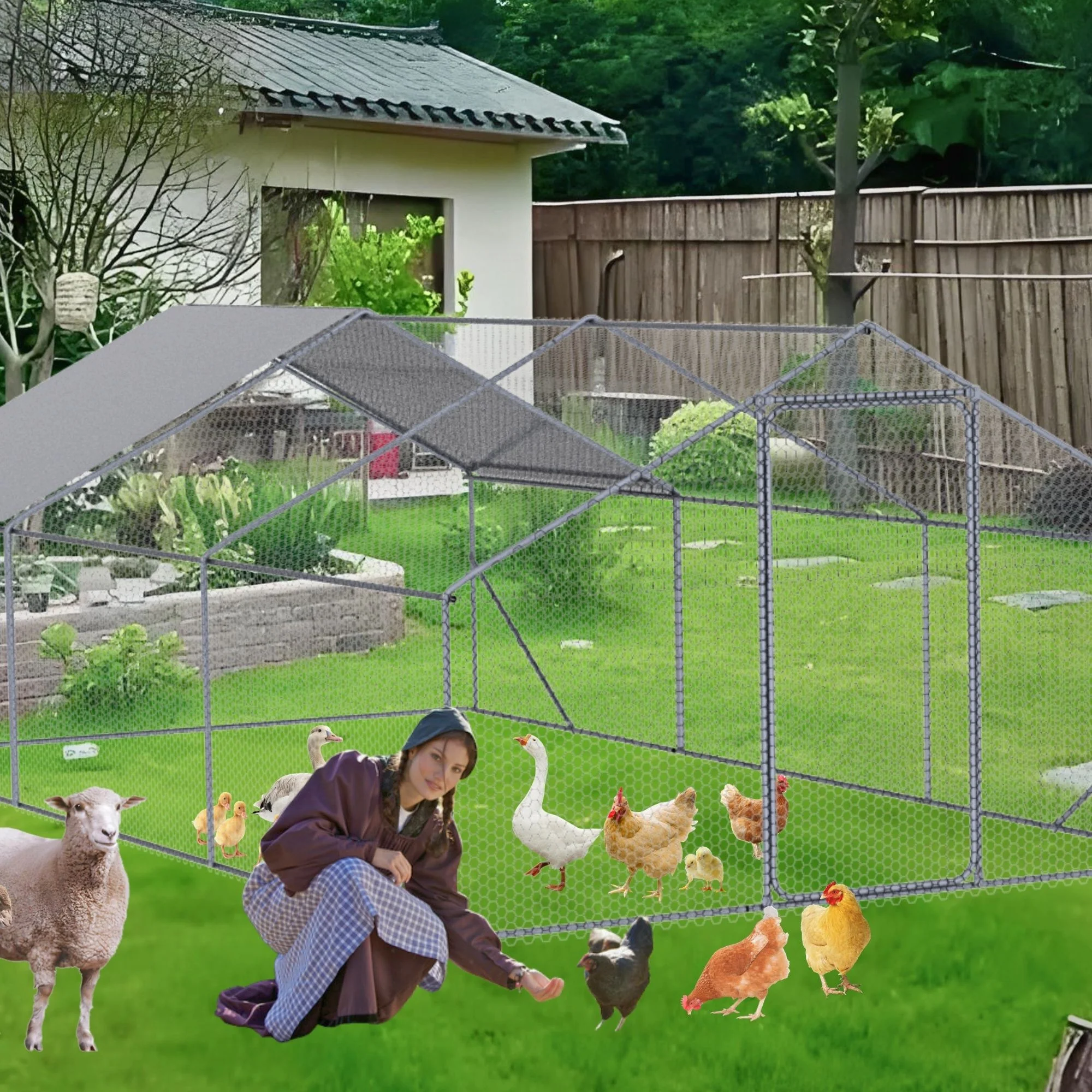 Outdoor Chicken Coop Metal Big Space - Image 17